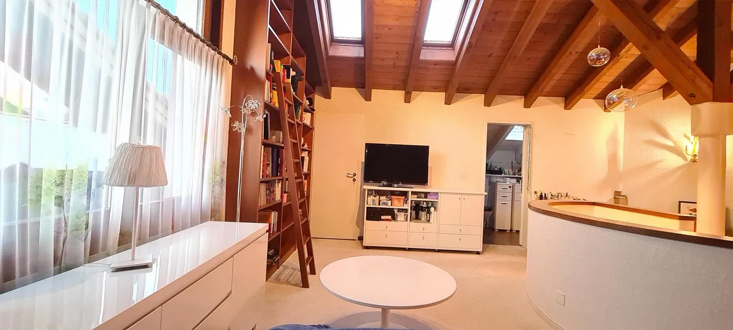 Un luogo per visioni - Vivere, Costruire, Sognare a Hünenberg nel Canton Zug - Foto 5 di 12