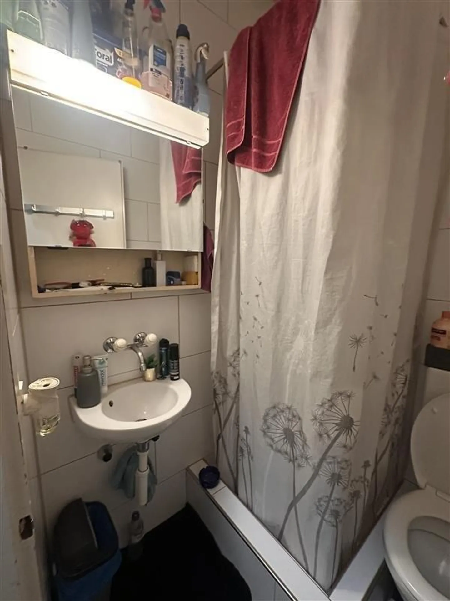 Appartamento centrale con 1 camera nella Länggasse di Berna - Foto 4 di 8