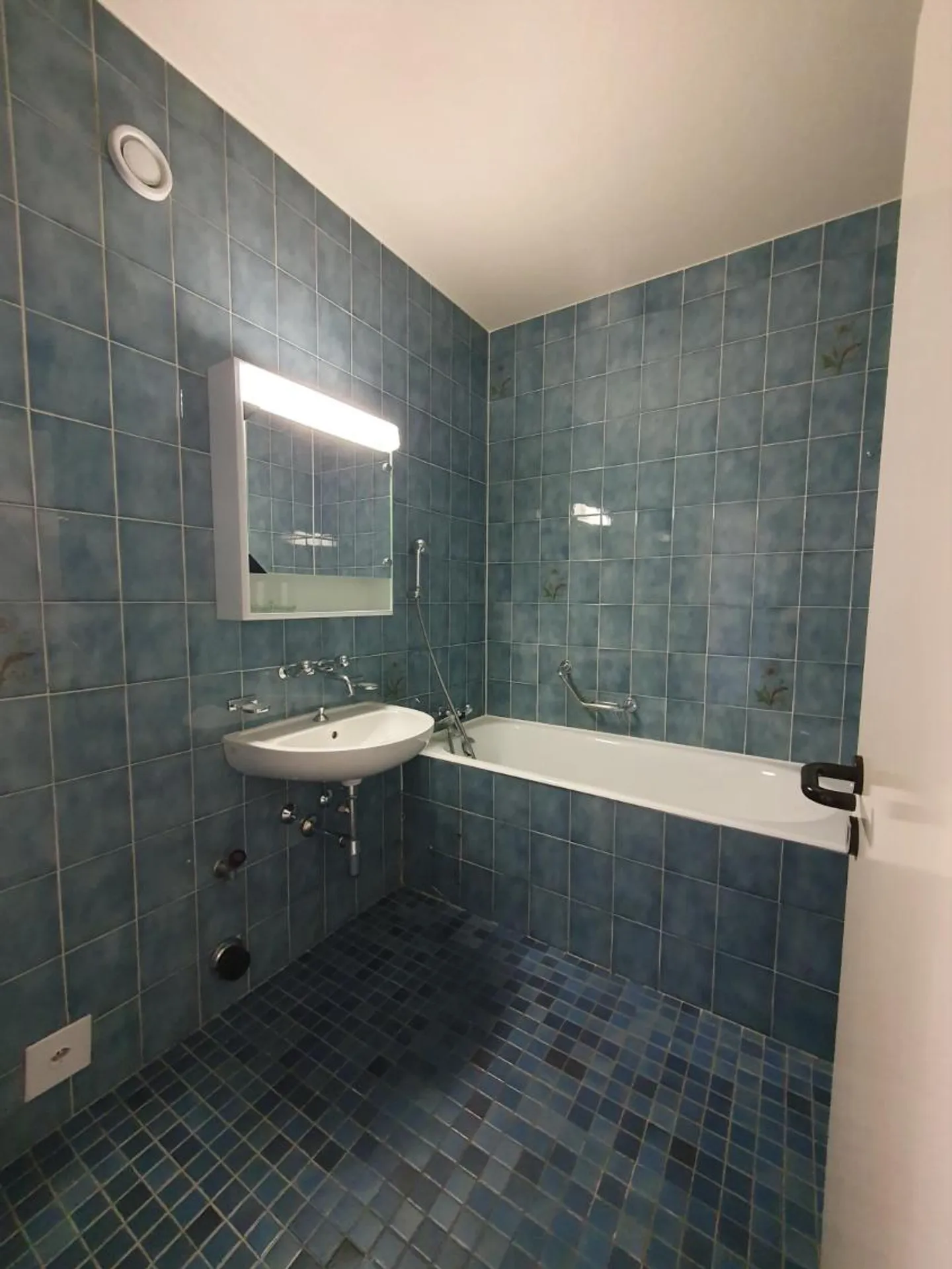 By the banks of the Arve: 5 rooms - Photo 3 of 12