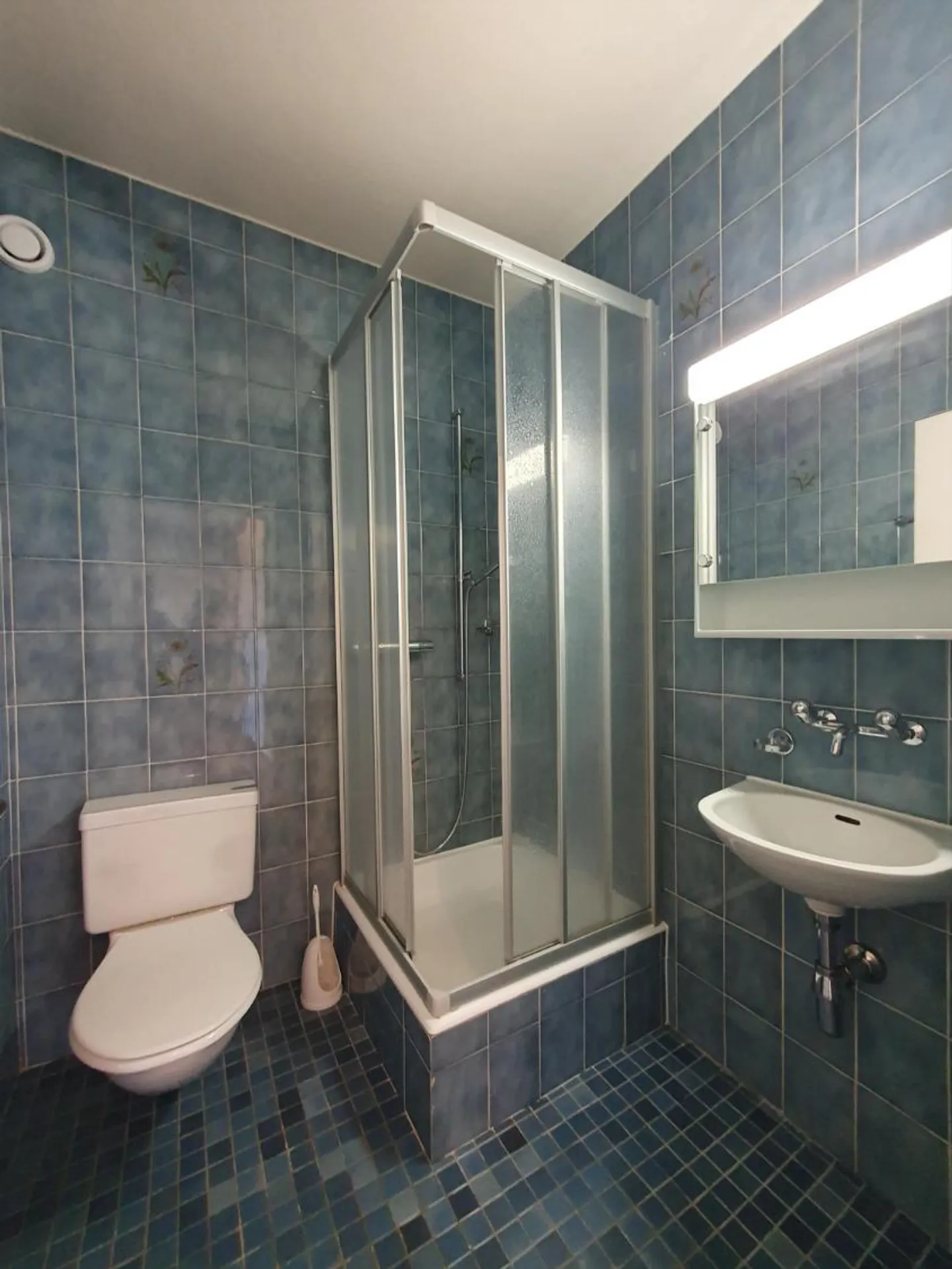 By the banks of the Arve: 5 rooms - Photo 4 of 12