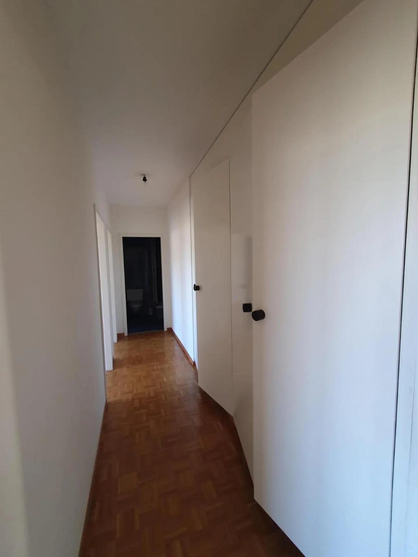 By the banks of the Arve: 5 rooms - Photo 8 of 12