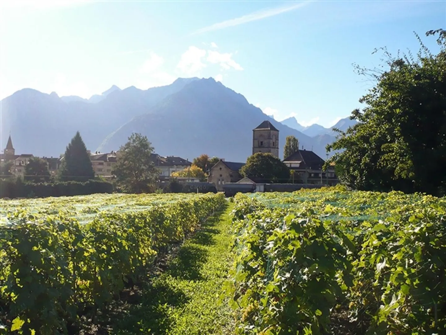 Casa in vendita, 1844, ad Aigle (Distretto), Svizzera - Foto 2 di 3