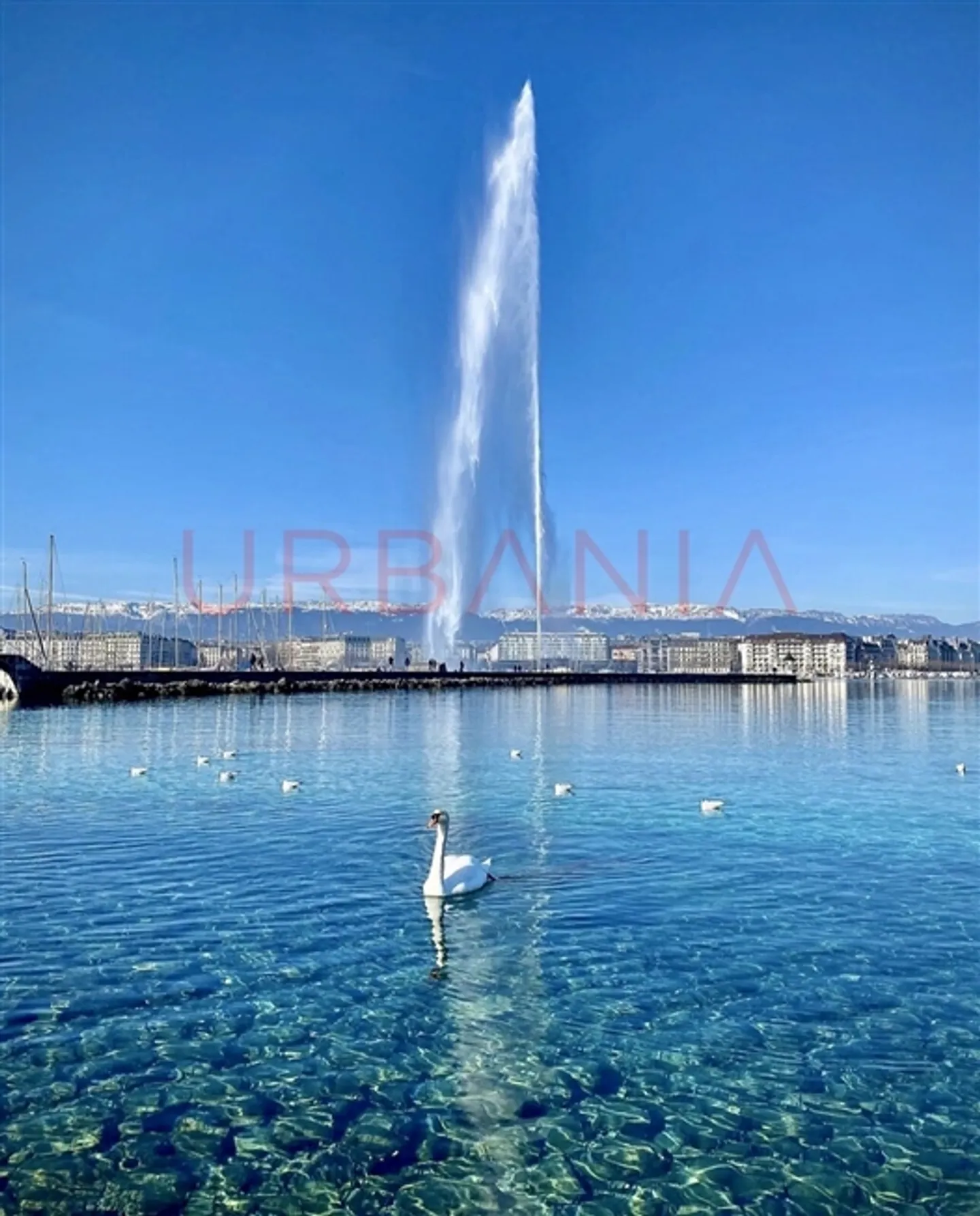 Edificio in vendita - Foto 1 di 1