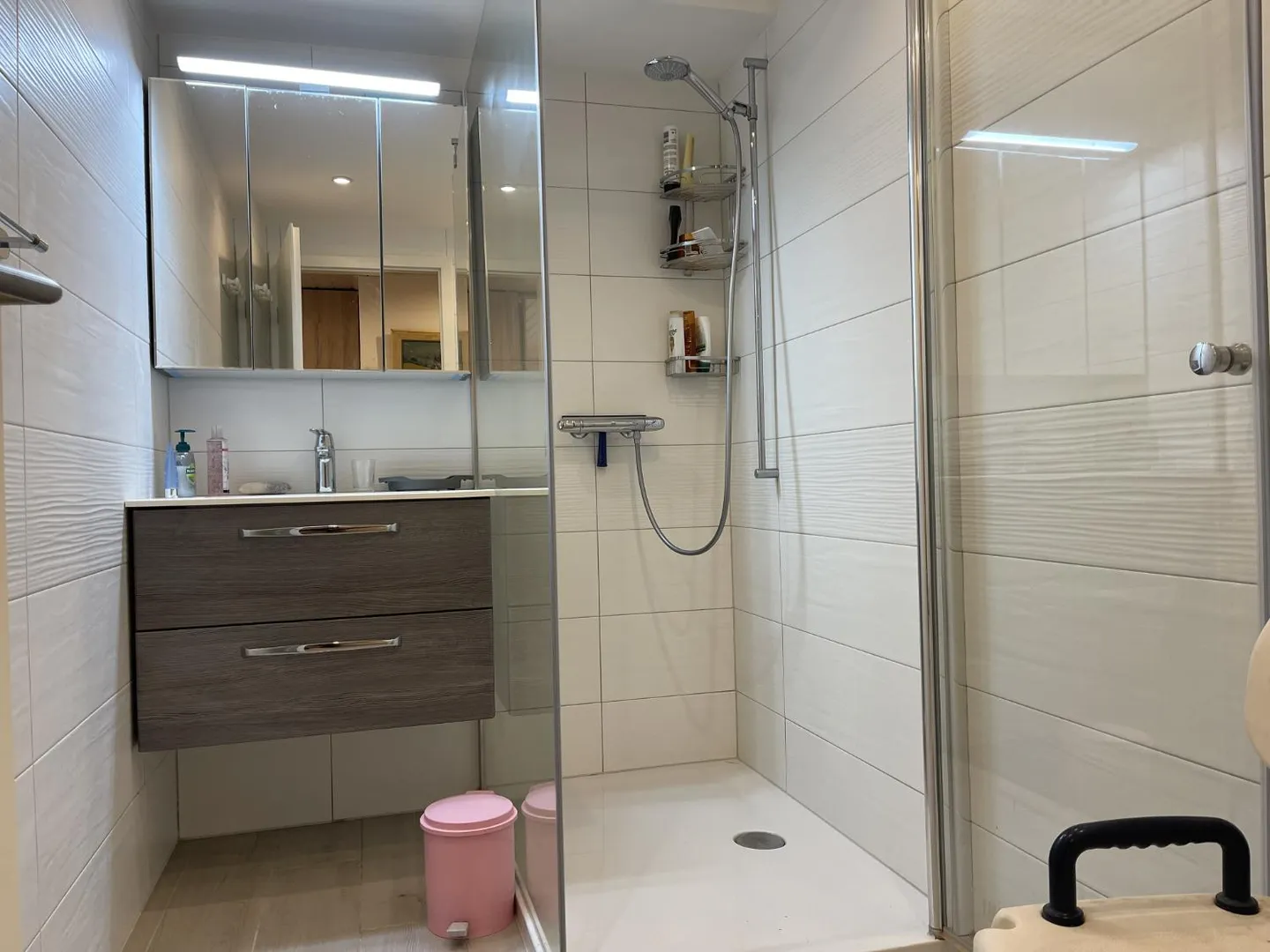 6.5-room villa - Photo 11 of 12