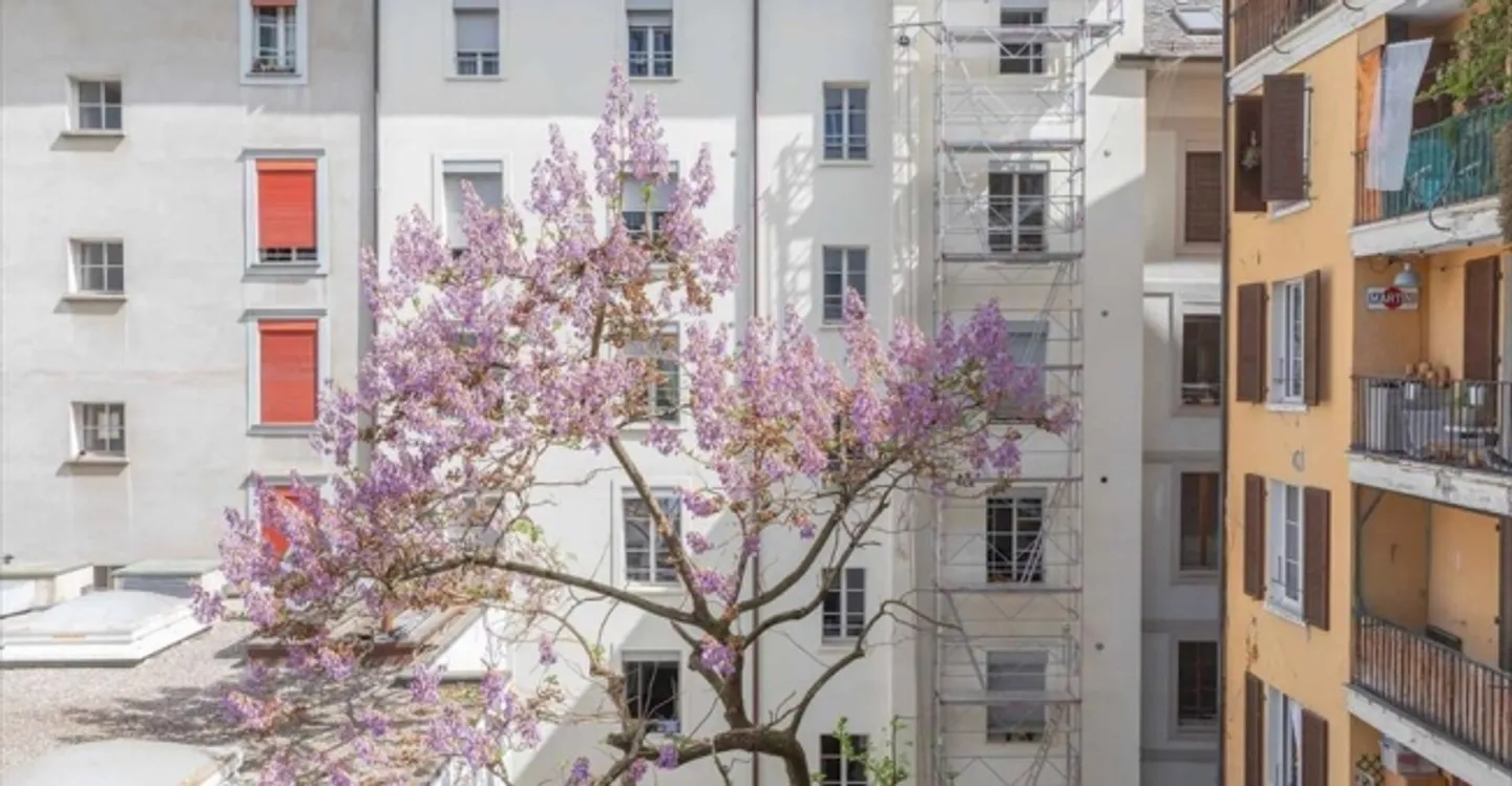 Ufficio - Foto 12 di 12