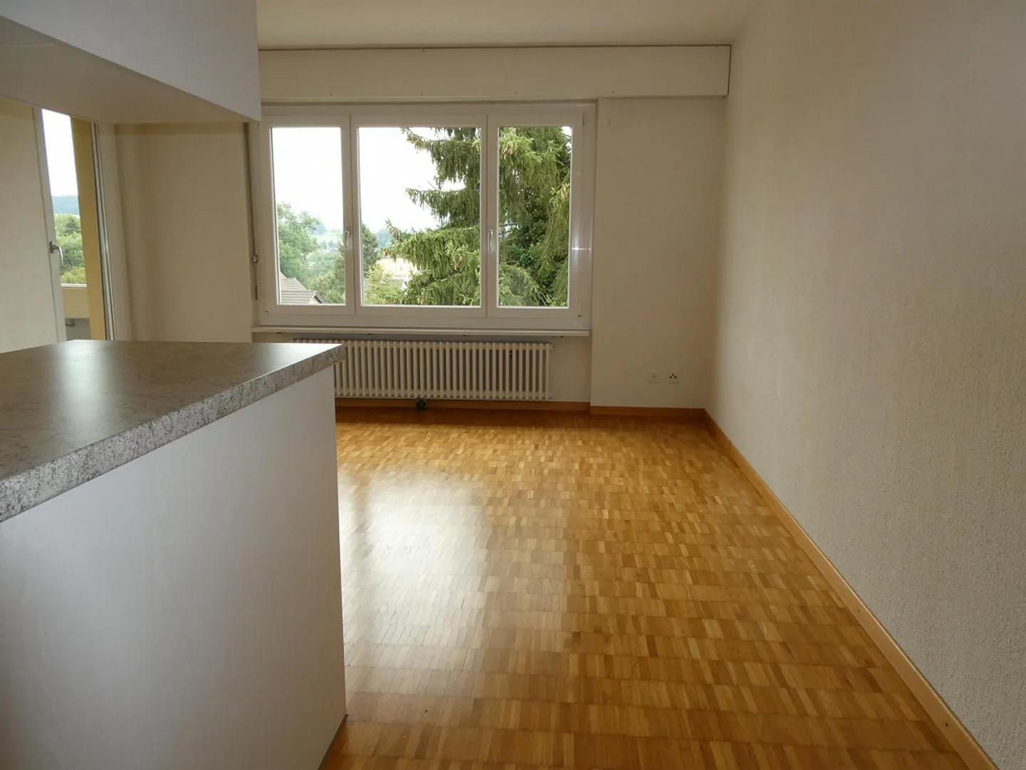 Appartement ensoleillé et calme à Menziken - Photo 2 sur 12