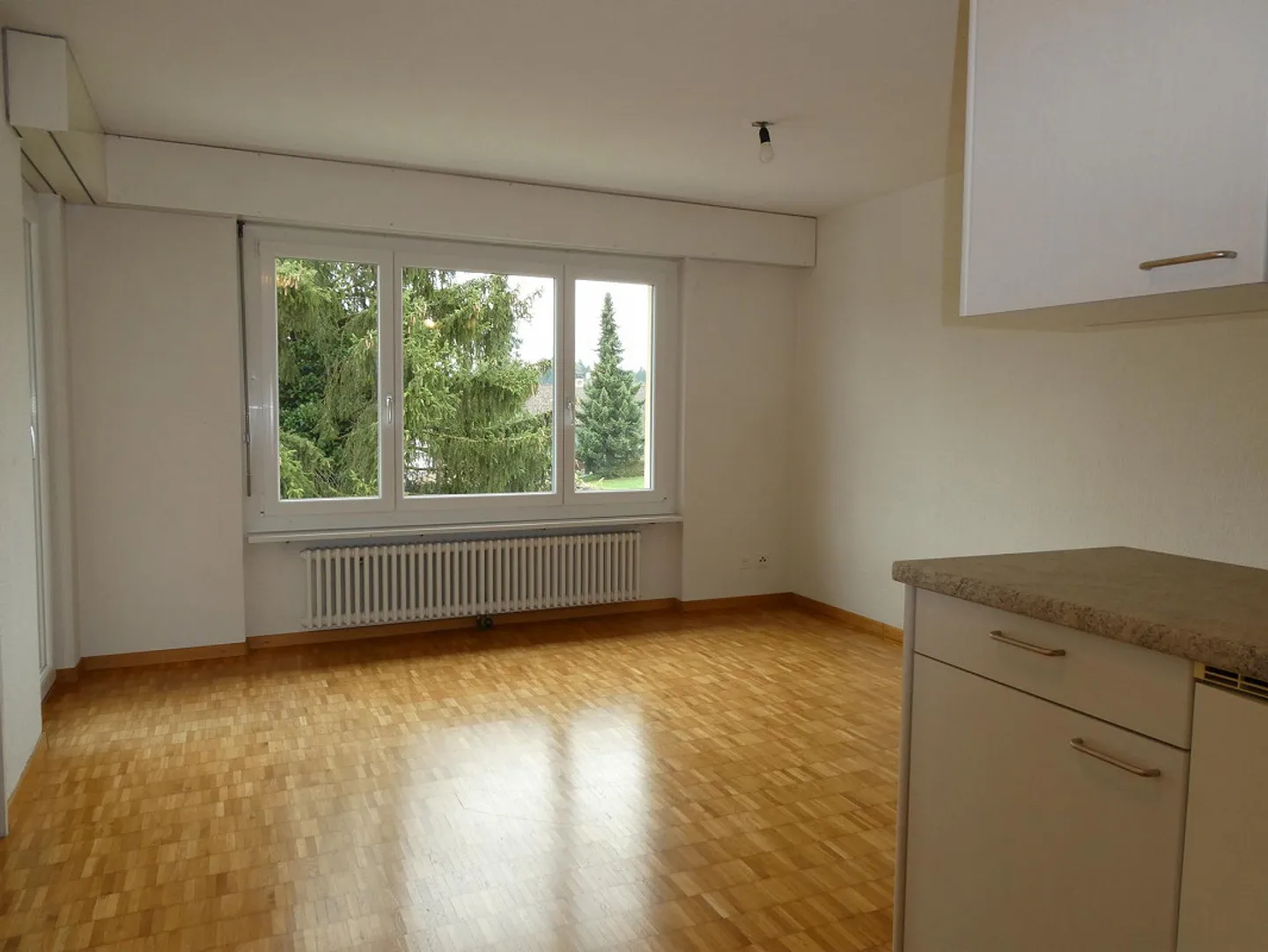 Appartement ensoleillé et calme à Menziken - Photo 3 sur 12