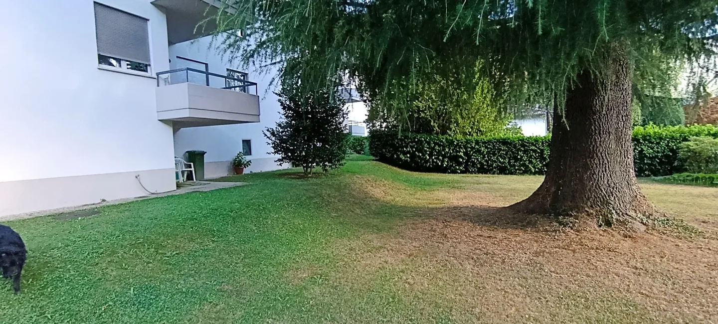 3.5 pièces dans un quartier calme - Photo 11 sur 14