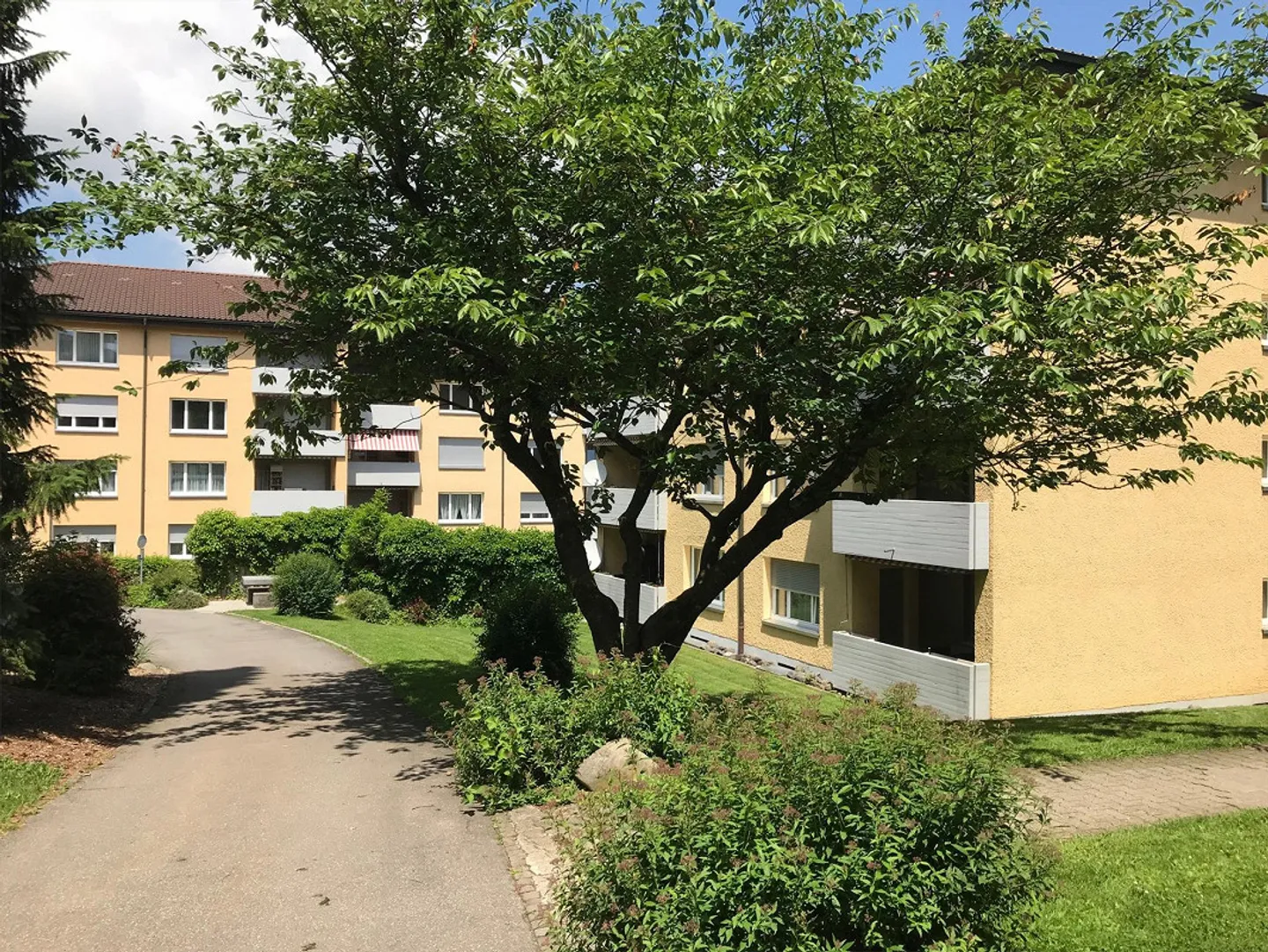 Appartement ensoleillé et calme à Menziken - Photo 9 sur 12