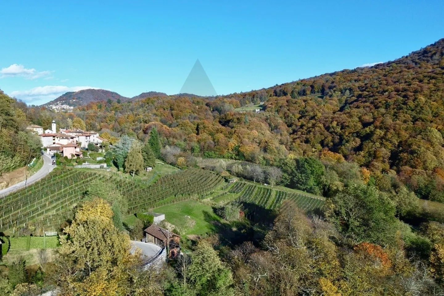 PROPRIETÀ CON VIGNE IMMERSA NELLA NATURA - Foto 15 di 17
