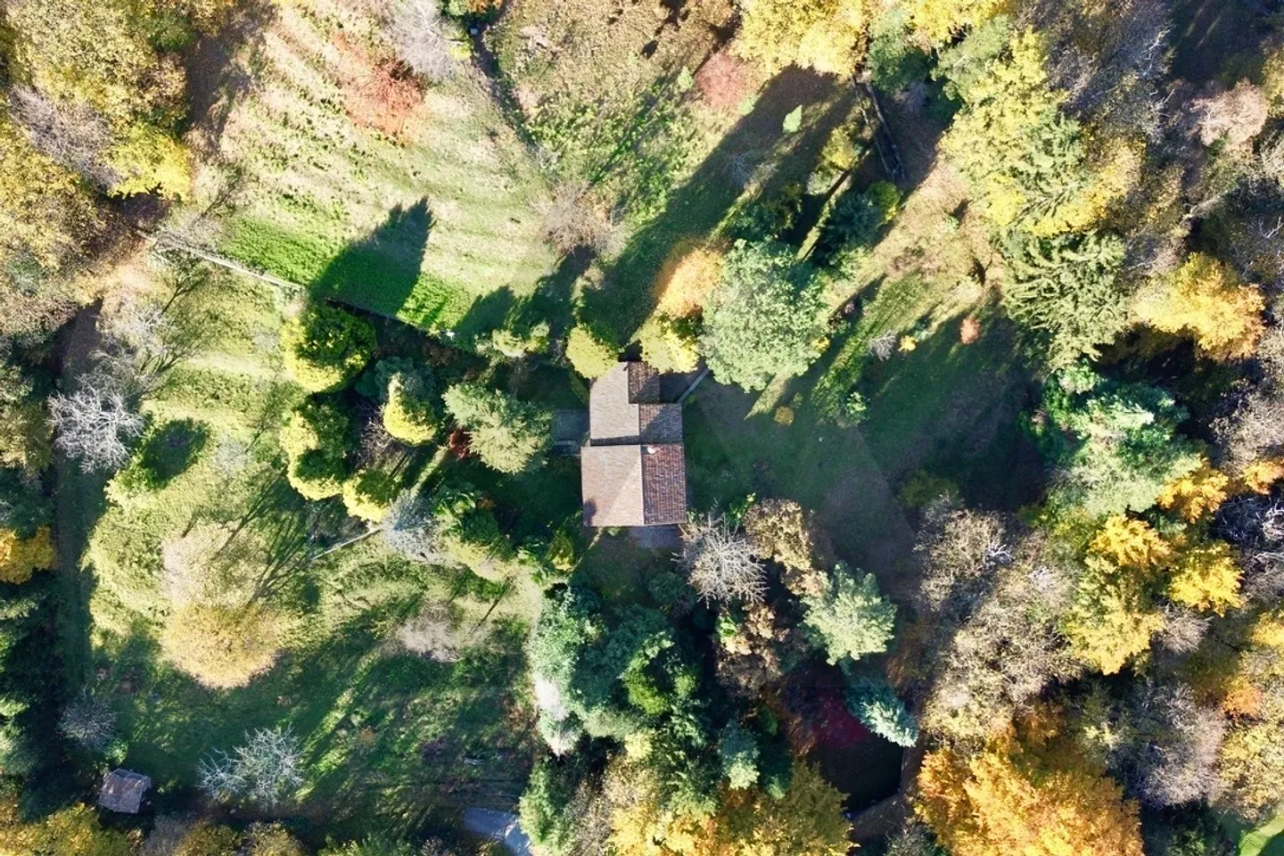 PROPRIETÀ CON VIGNE IMMERSA NELLA NATURA - Foto 16 di 17