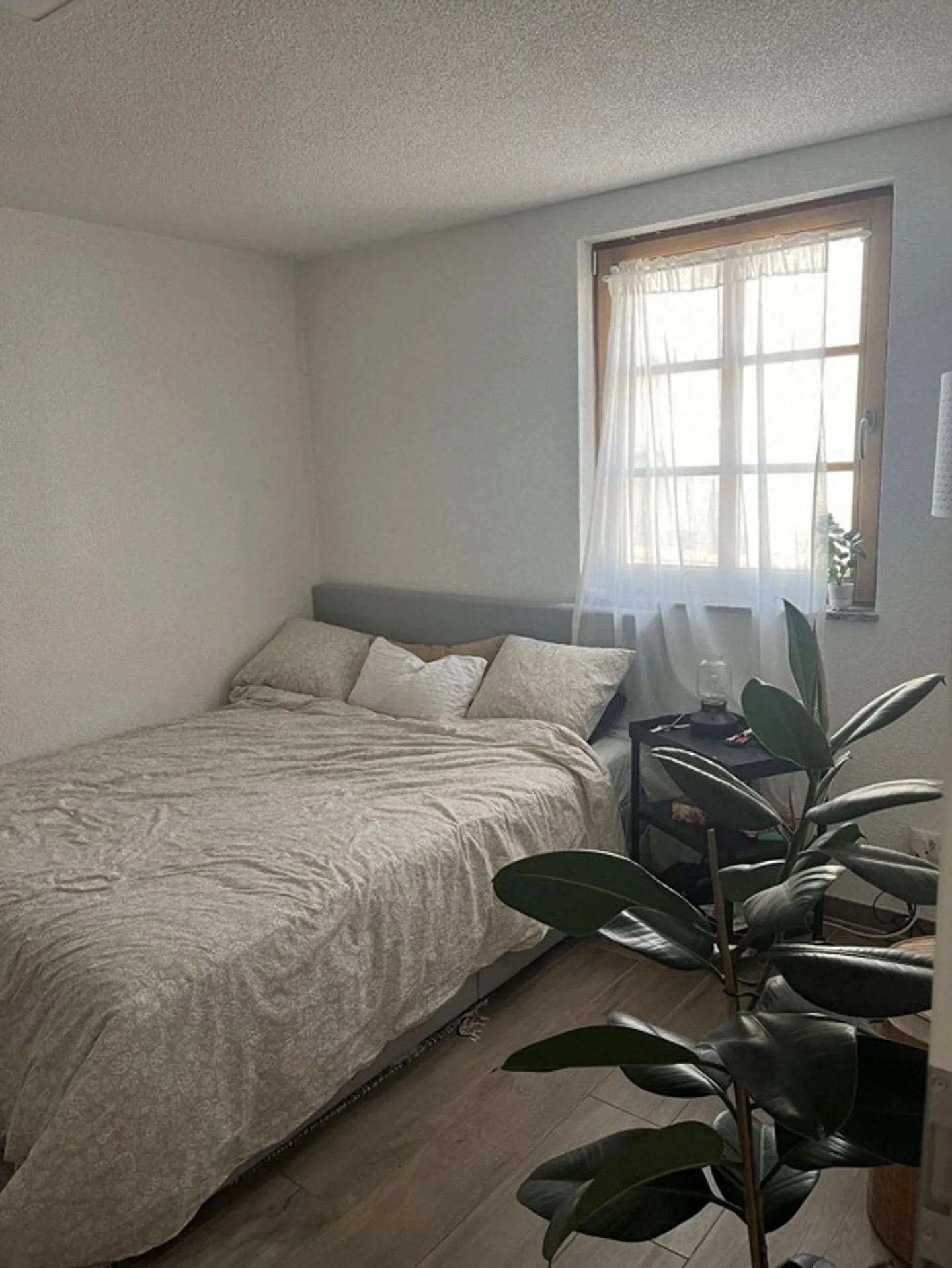 Helle 3-Zimmer-Wohnung in Bad Zurzach - Foto 2 von 5