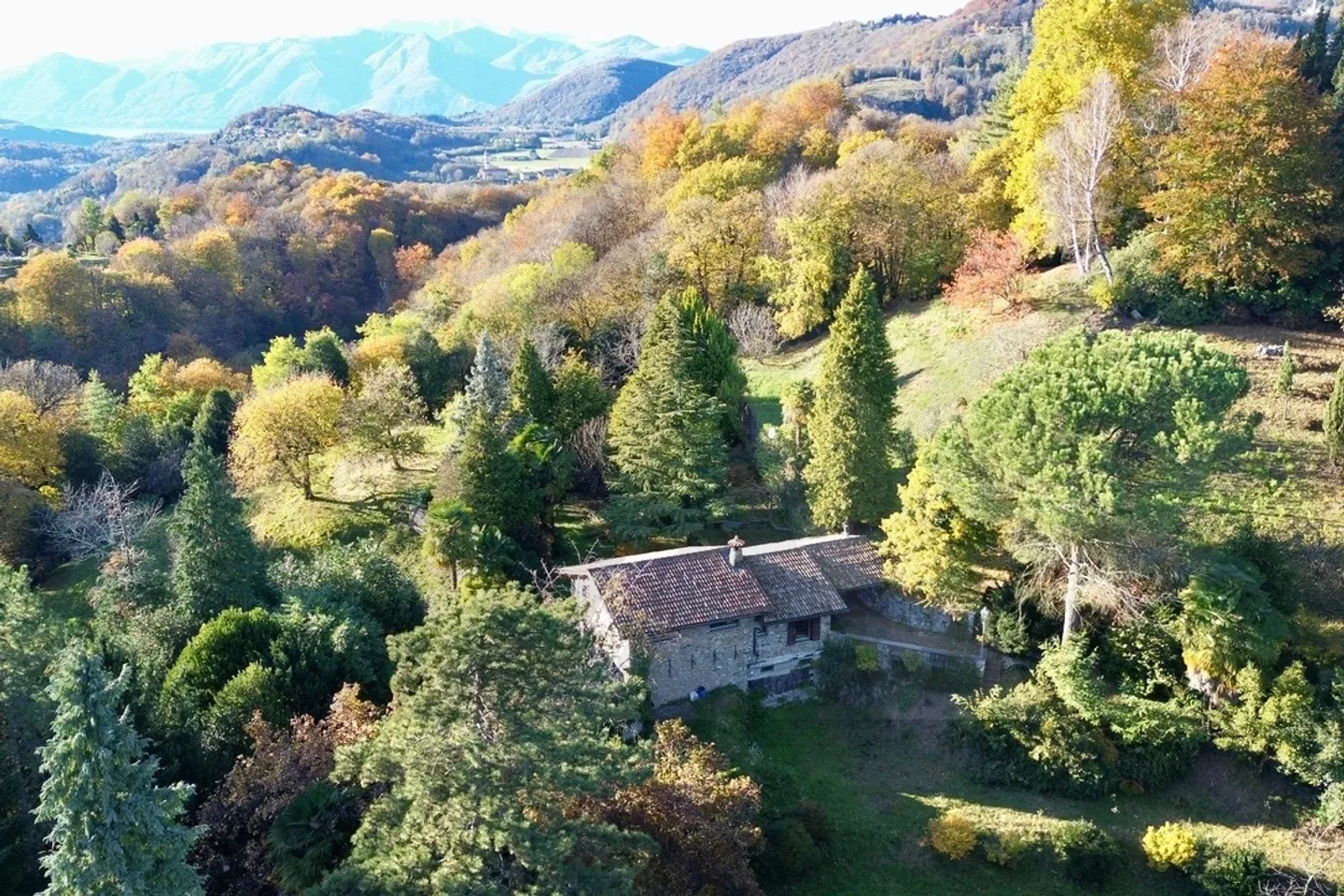 PROPRIETÀ CON VIGNE IMMERSA NELLA NATURA - Foto 17 di 17