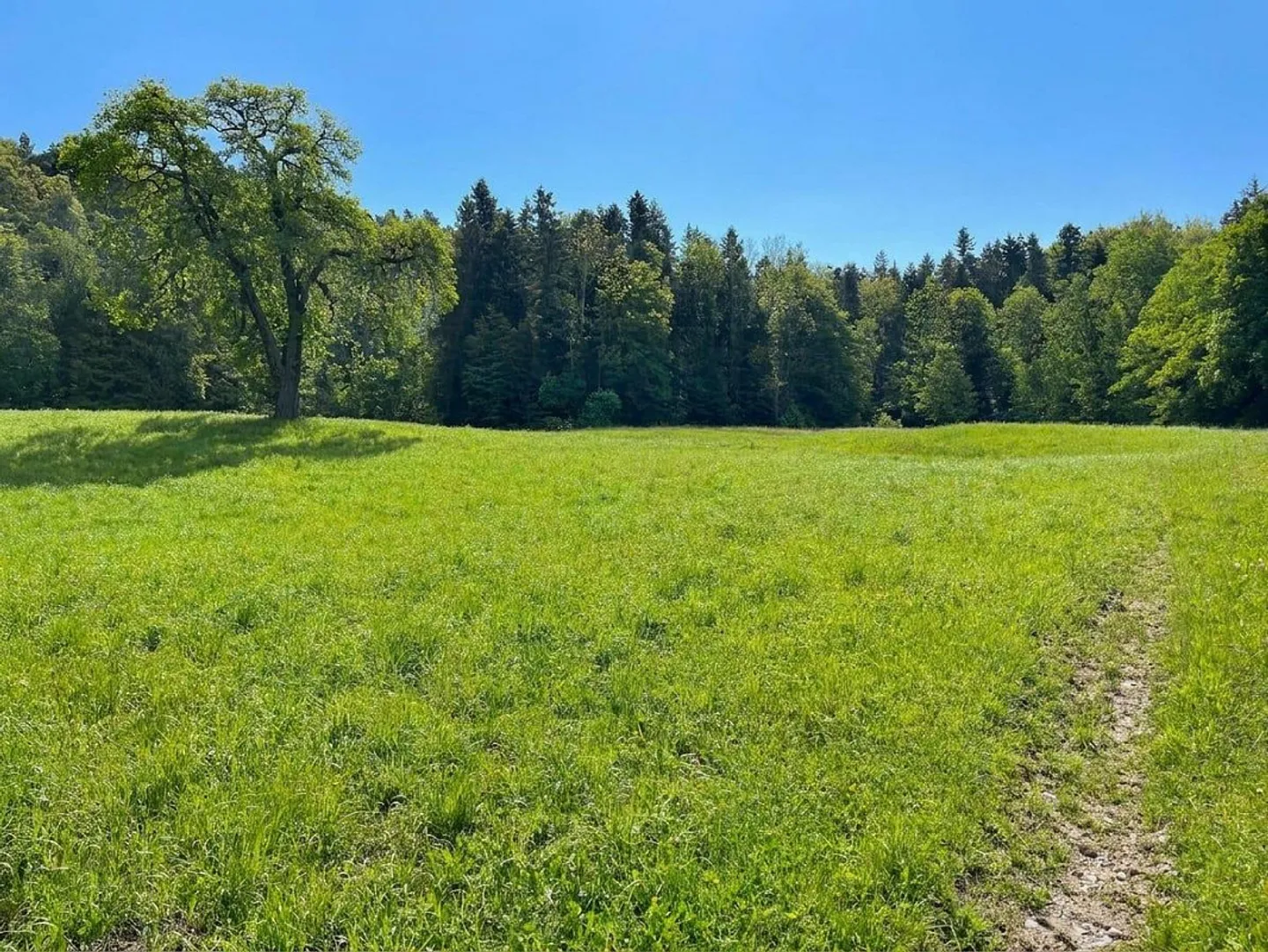 Terrain unique à Wittenbach - Photo 9 sur 13