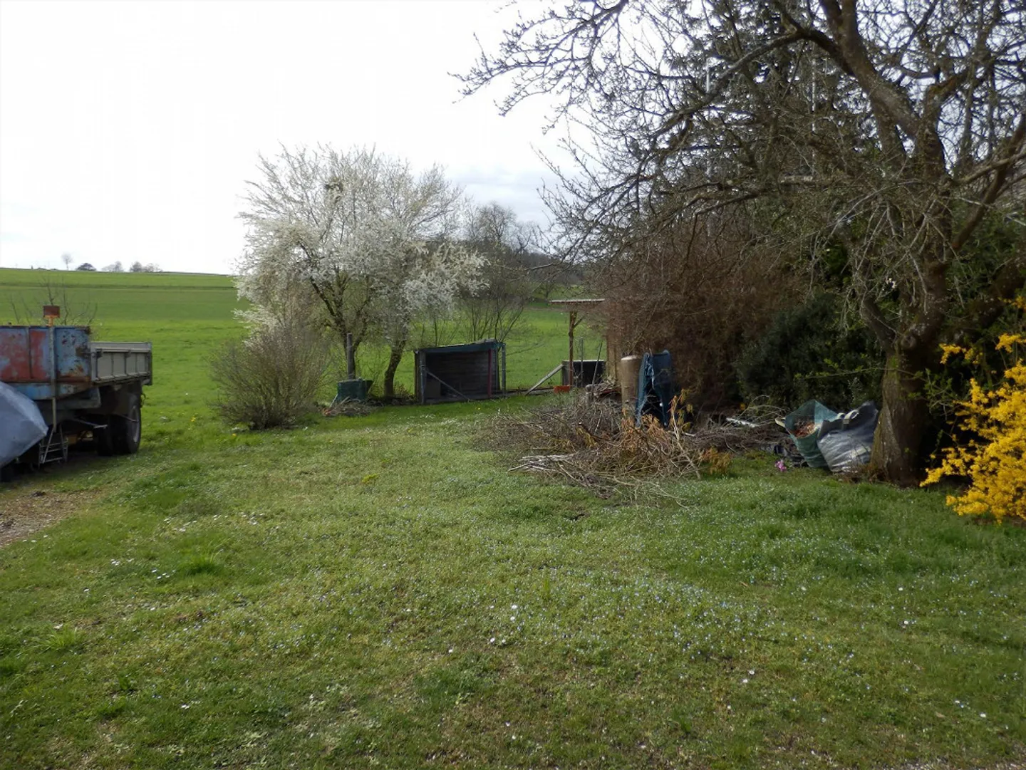 Vivere vicino alla natura e in modo spazioso! - Foto 12 di 15