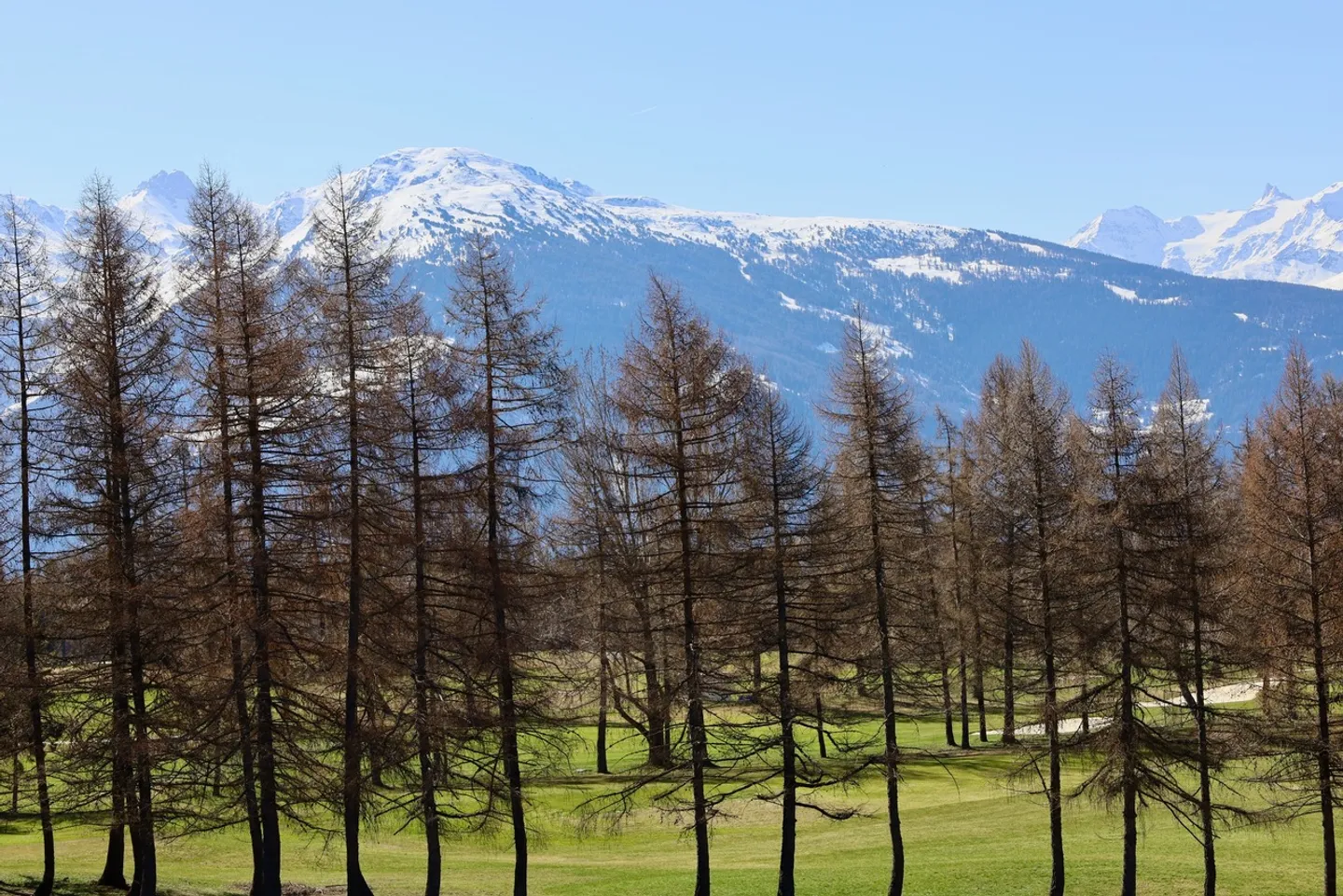 Incantevole appartamento di 2,5 locali con vista panoramica al confine del Golf - Foto 11 di 15