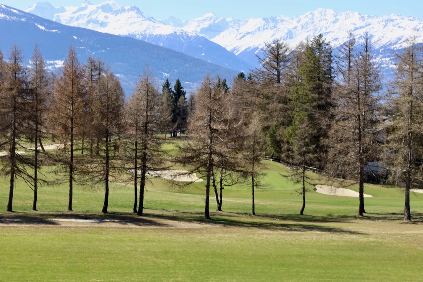 Incantevole appartamento di 2,5 locali con vista panoramica al confine del Golf - Foto 14 di 15