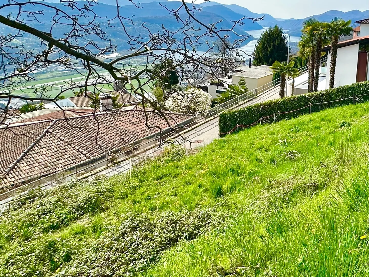 Terrain à vendre à Cademario - 600 m2 - Photo 2 sur 4