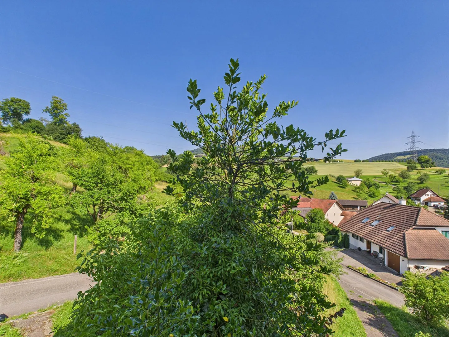 Baugrundstück in Wölflinswil - Foto 6 von 12