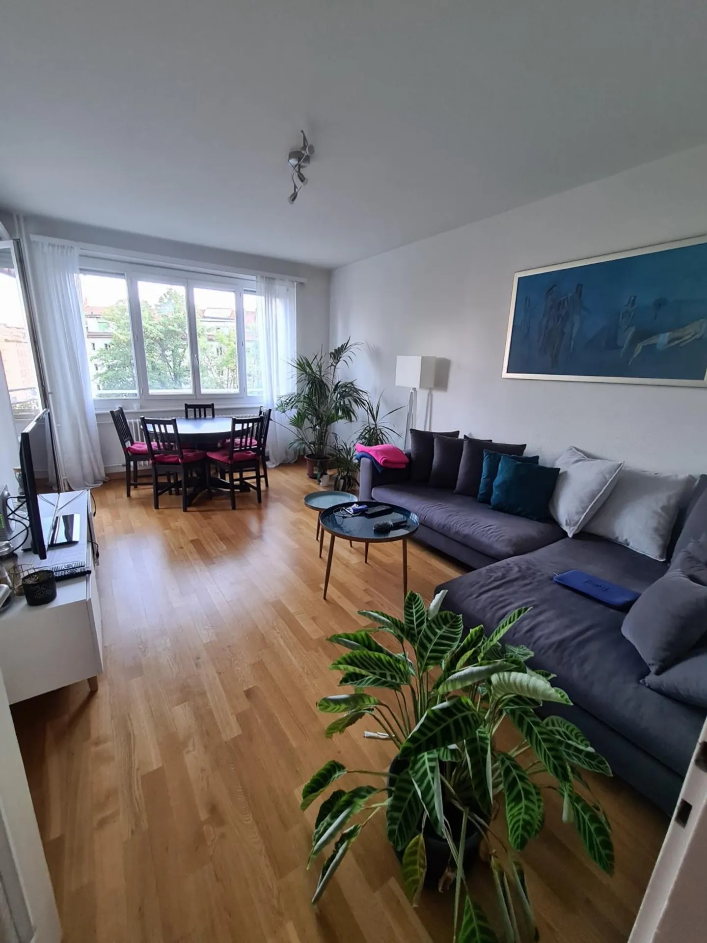 Charming Apartment in Geneva - Photo 2 of 3