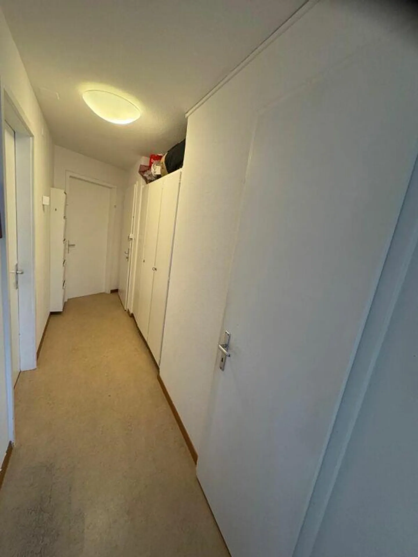 Bright 3.0 room apartment for rent copy - Photo 9 of 9