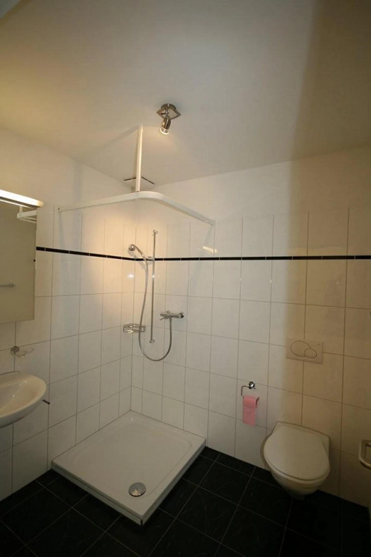 AFFITTARE SENZA CAUZIONE - Spazio abitativo lungo la Limmat - Foto 4 di 7