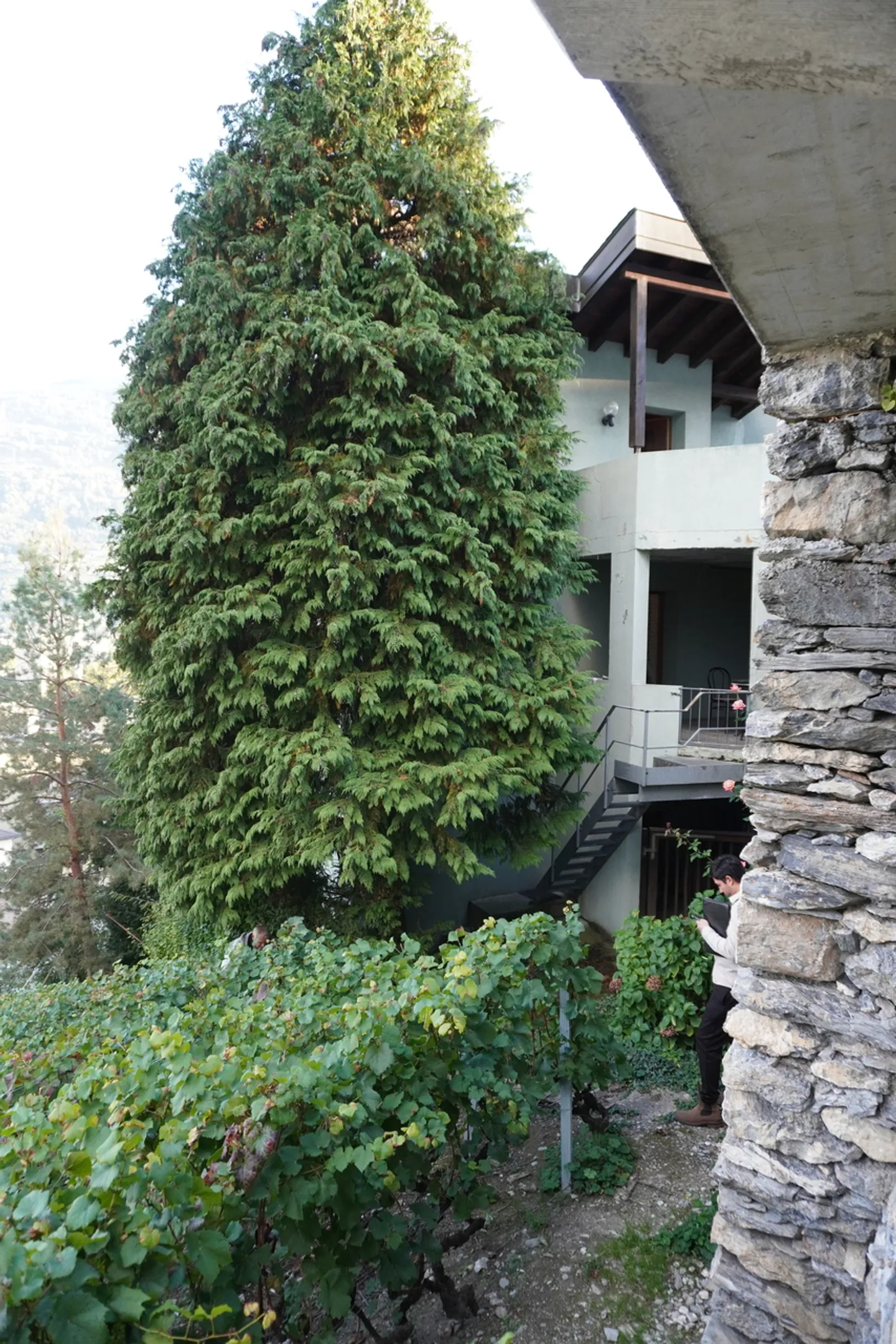 OPPORTUNITÀ ESCLUSIVA - Foto 4 di 11