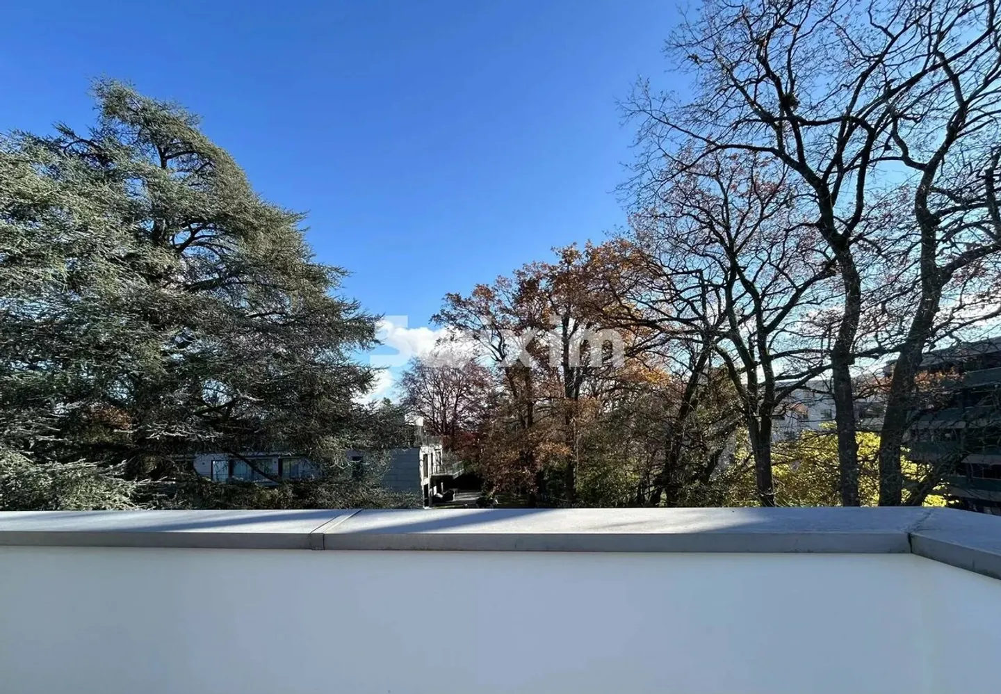 Nuovo Duplex in Penthouse 3 camere tranquille a Cologny - Foto 2 di 7