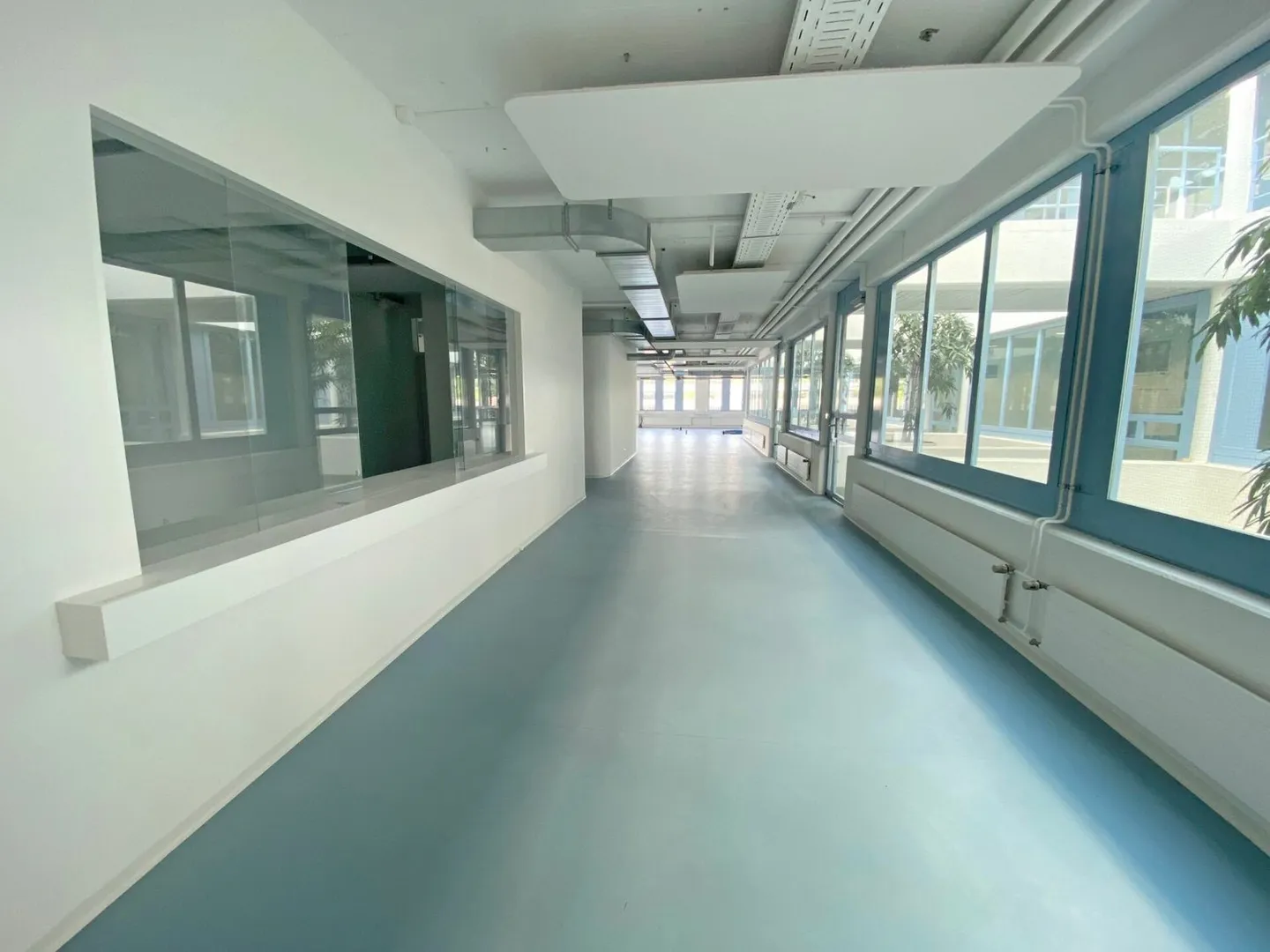 Showroom/Surface de bureau - Photo 8 sur 12