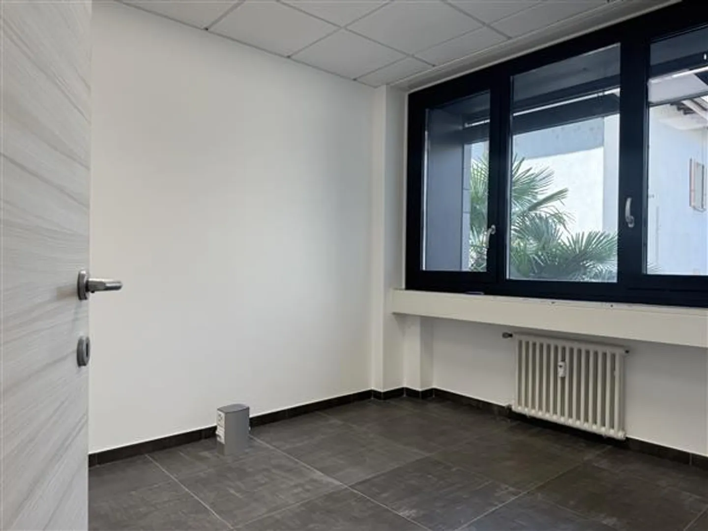 Lugano: Ufficio 5 Stanze - Foto 4 di 13
