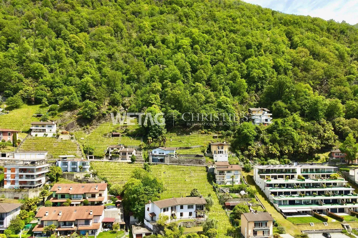 Beautiful building land in Solduno with panoramic view for sale - Photo 6 of 10