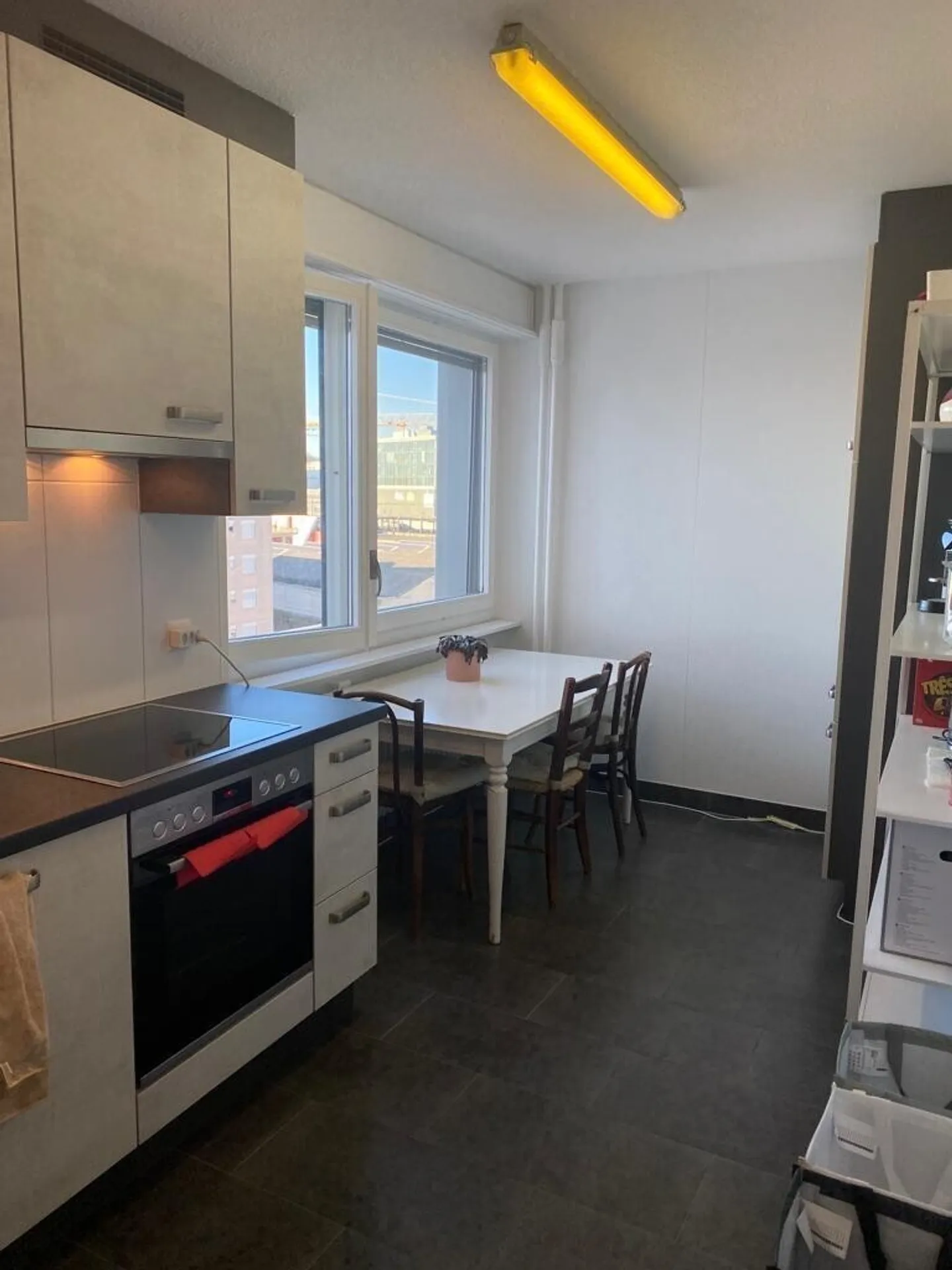 Splendido appartamento ristrutturato nel centro di Malley - Foto 5 di 8