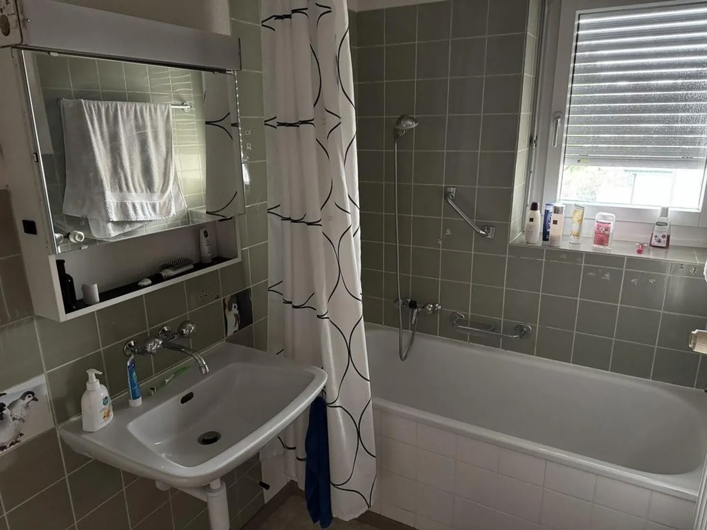 Living near Schützenmattpark - Photo 4 of 5