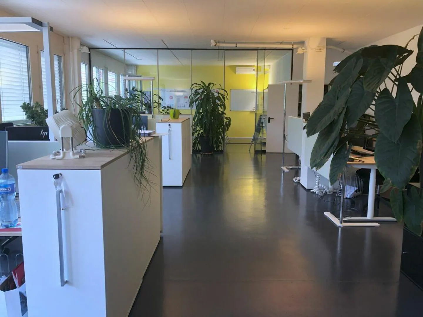 Ufficio attraente di 138 m2 in affitto a Steinhausen - Foto 3 di 11
