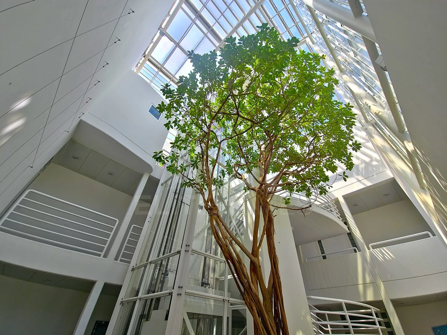Appartamento Loft Elegante con Giardino Privato e Concetto di Spazio Flessibile - Foto 5 di 6