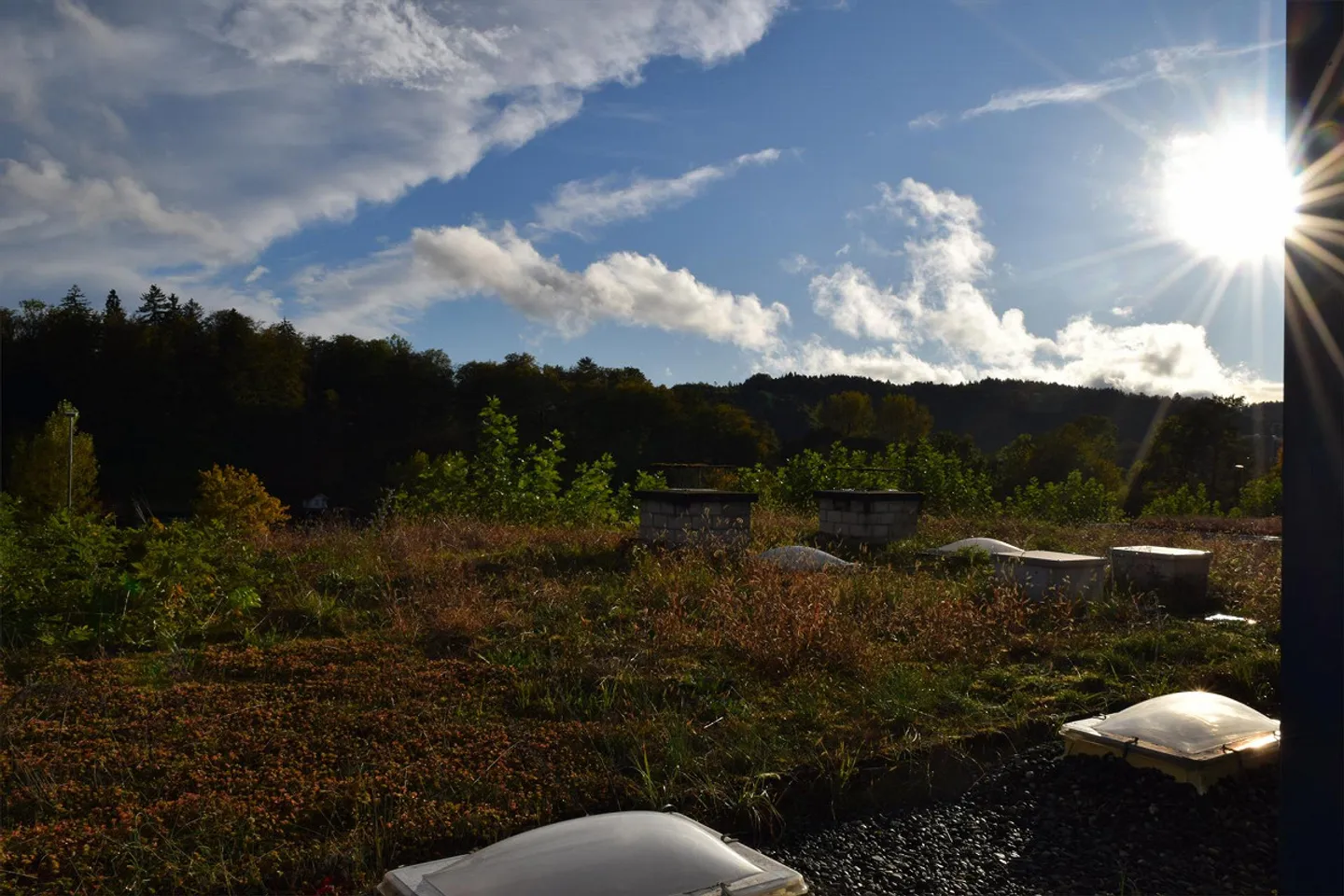 Oasis au Wohlensee - Photo 2 sur 30