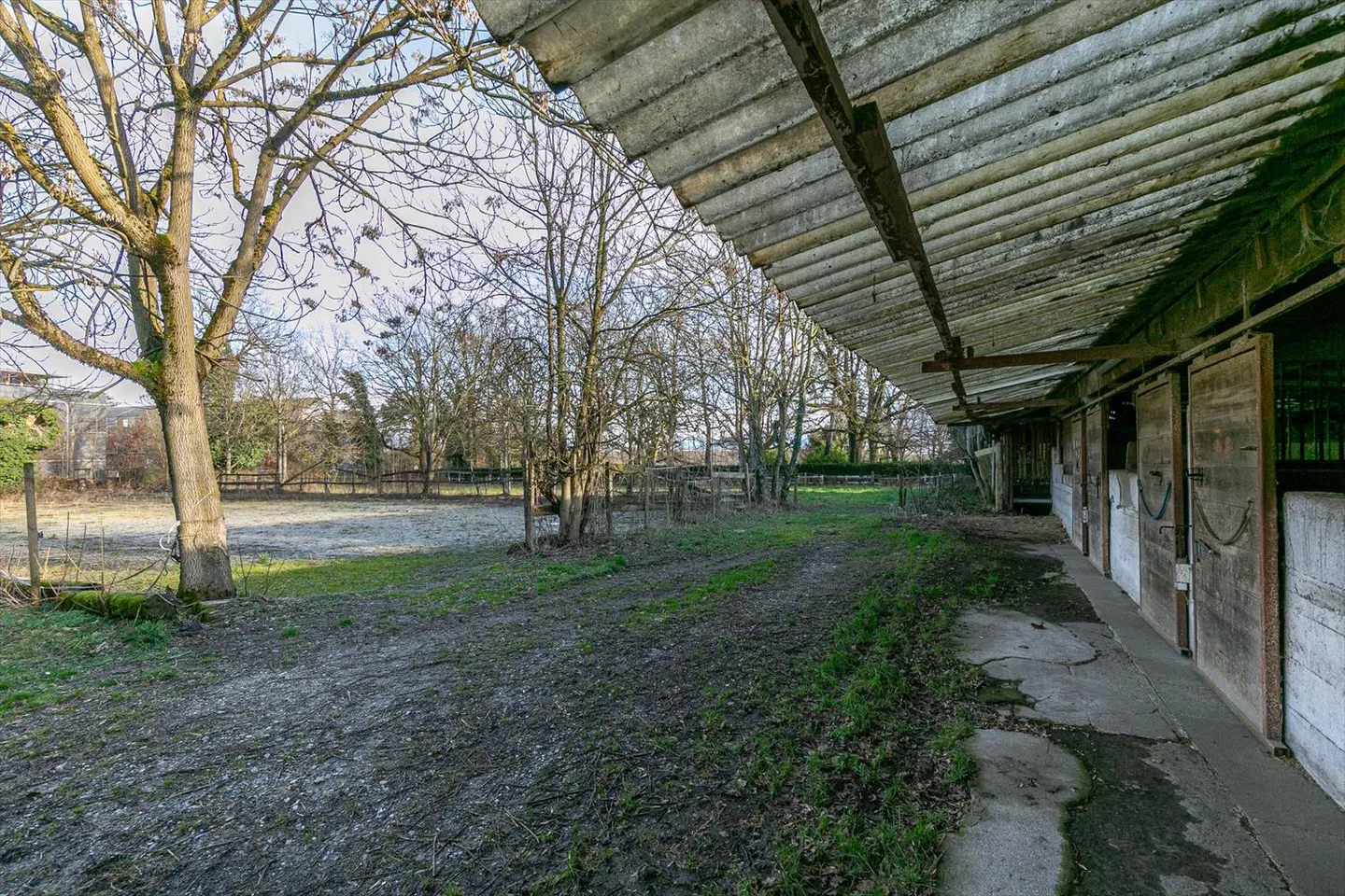 Terreno edificabile - Foto 6 di 8