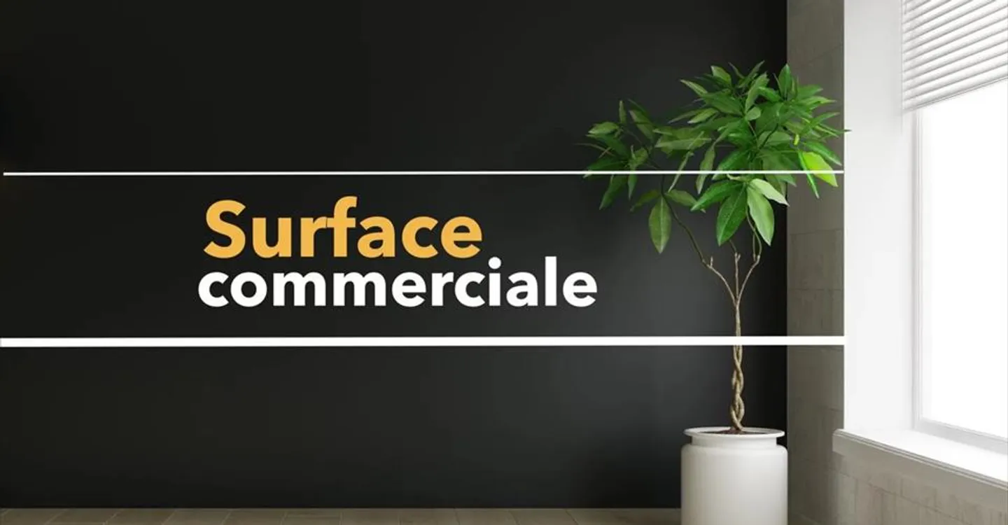 Edificio ad uso misto in affitto - Foto 4 di 4