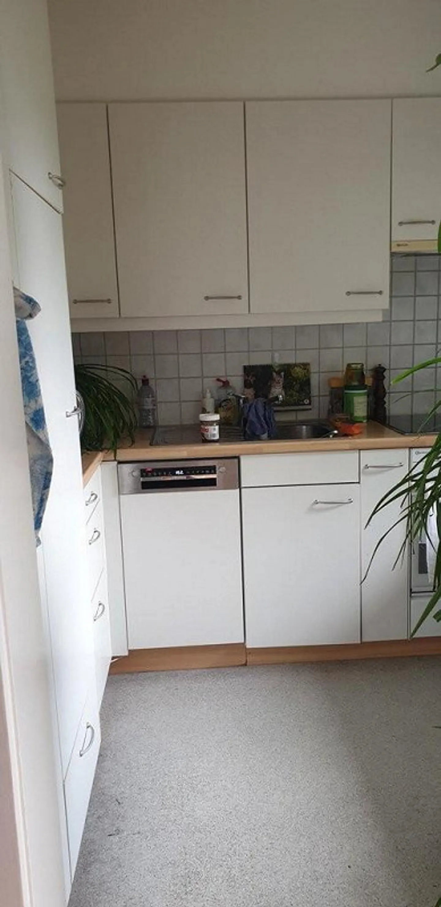 Charmante Wohnung in Köniz - Foto 4 von 11