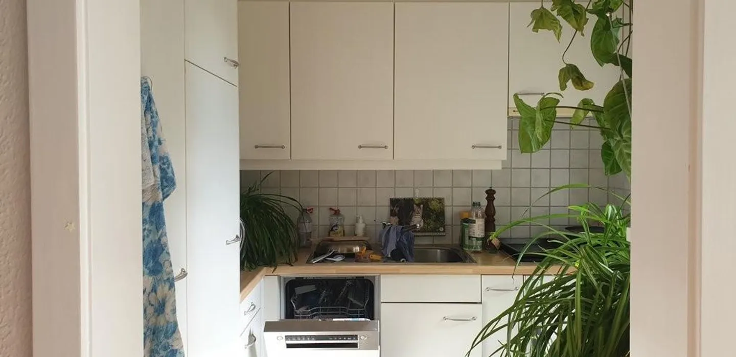 Charmante Wohnung in Köniz - Foto 10 von 11