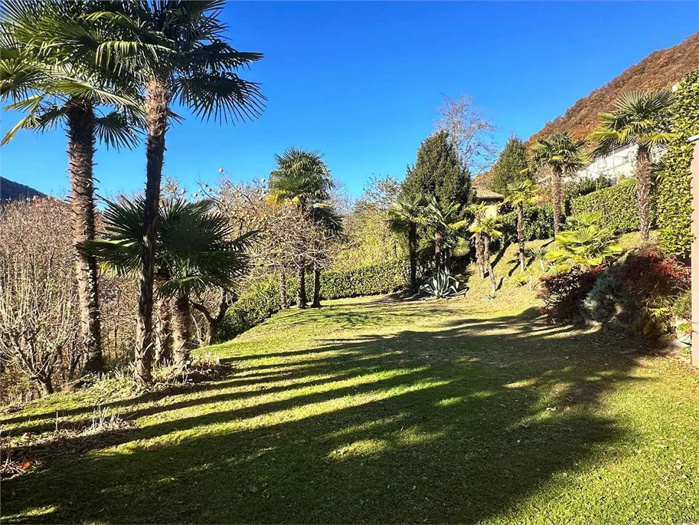 MALCANTONE - Villa transformée en Hôtel Garni - Photo 7 sur 13