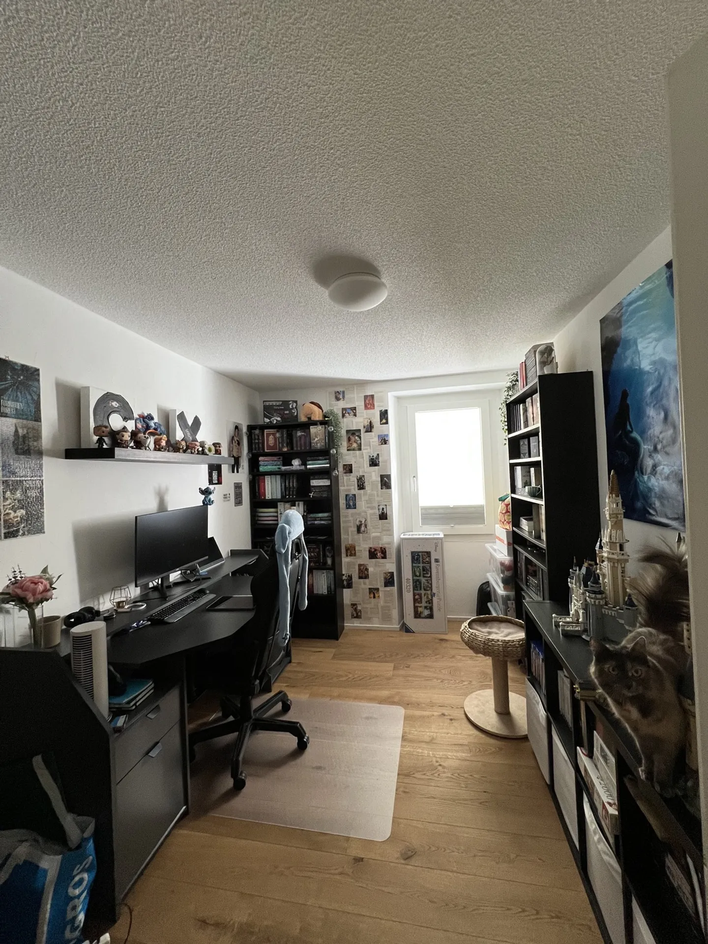 Renovated Apartment in Naters - Photo 4 of 5