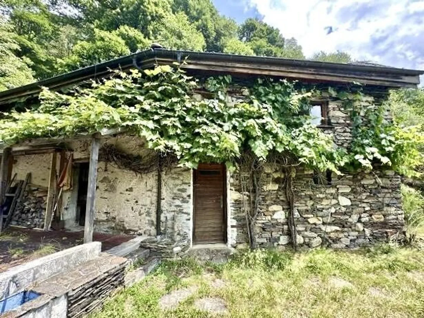 Casa in affitto - Foto 4 di 13