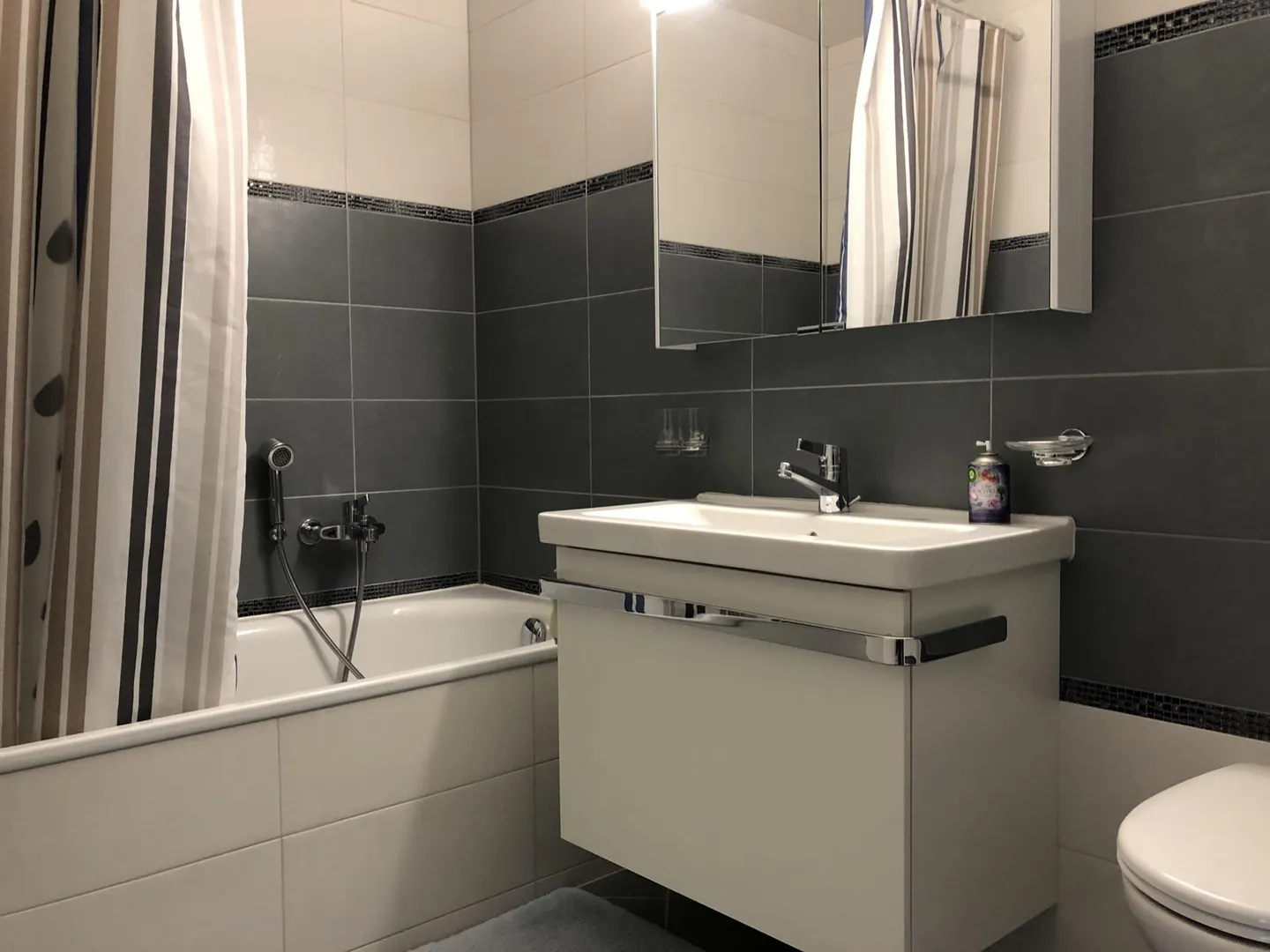 Furnished apartment for rent - Photo 10 of 10