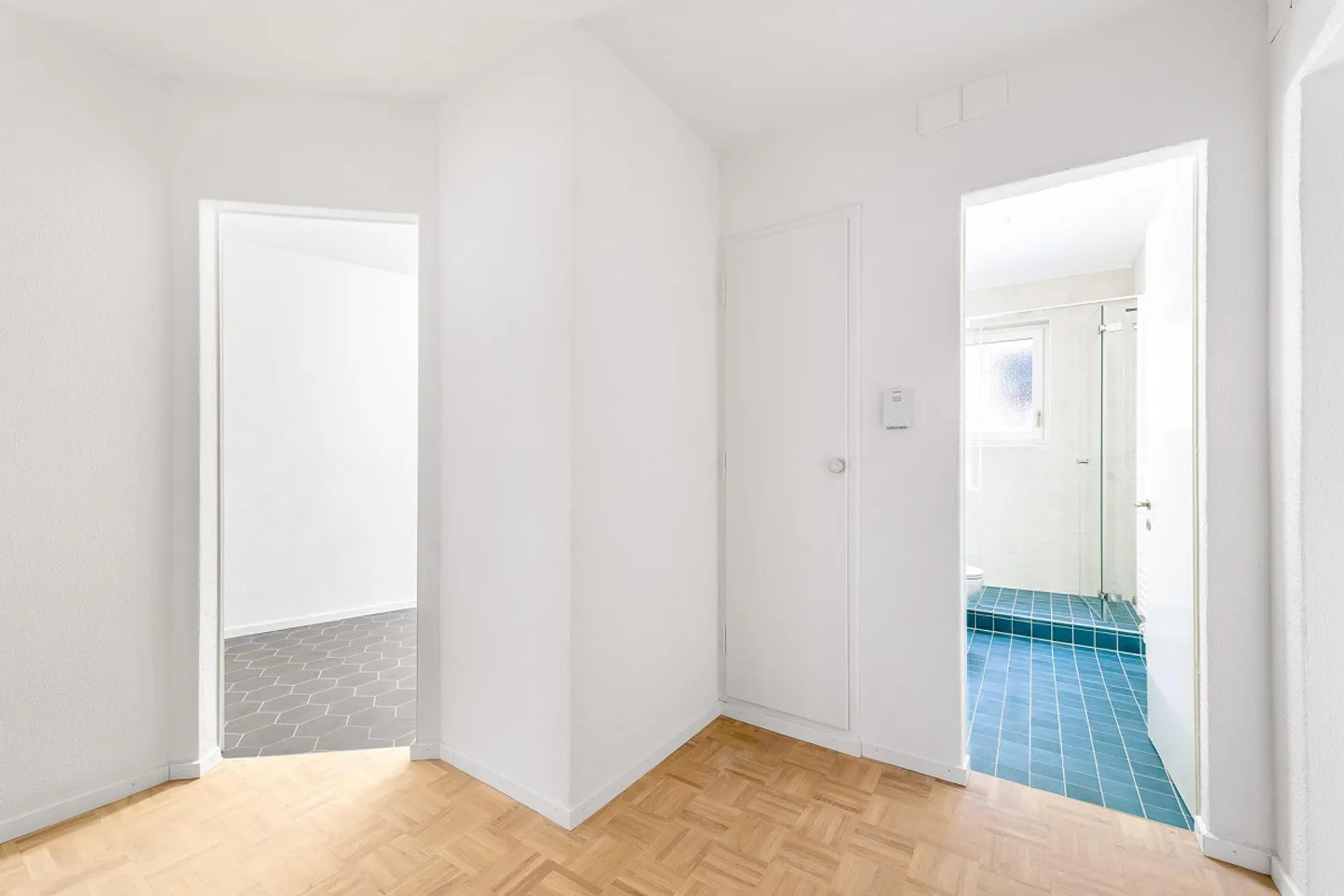 Freshly renovated oasis of well-being in the heart of Zurich-Wiedikon! - Photo 3 of 12