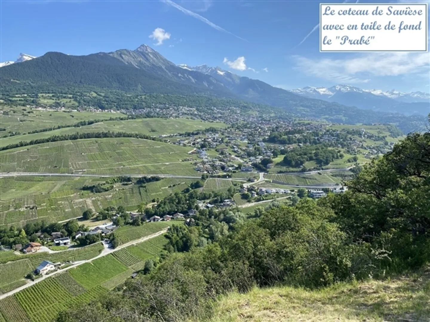 New - Savièse Centre - Photo 5 of 9