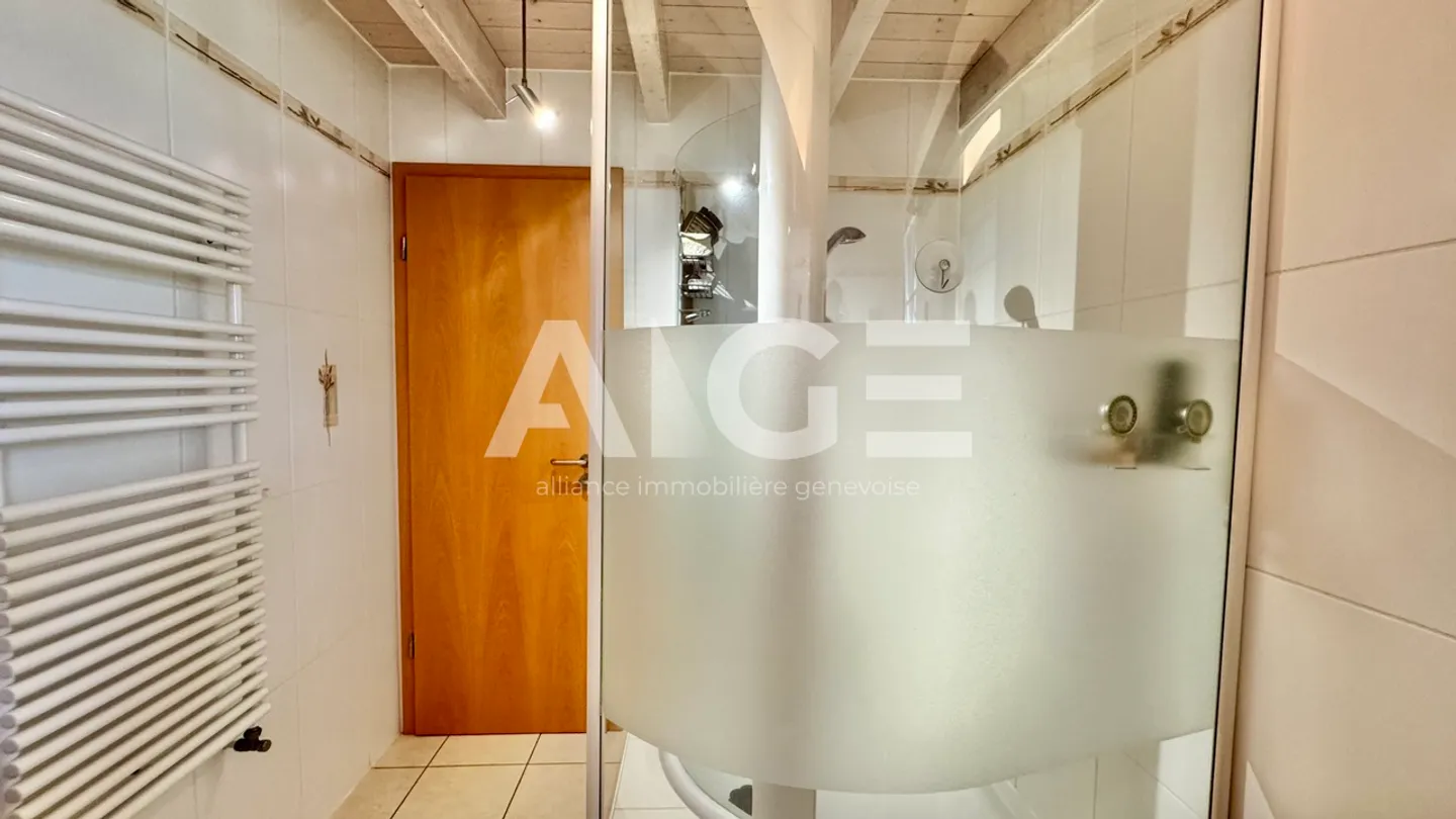 Espace et lumière à Confignon - Foto 9 di 13