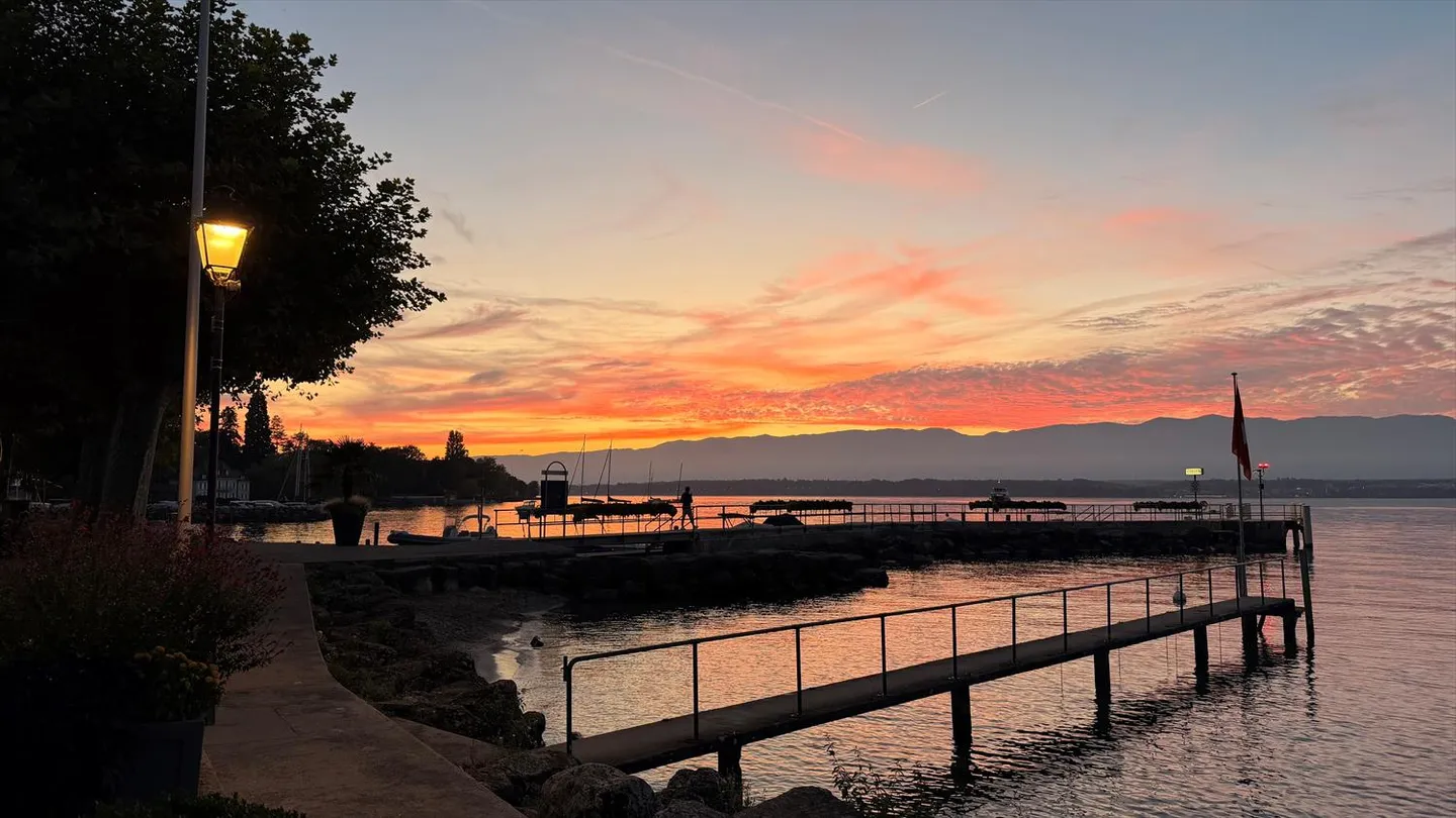 Magnifique villa individuelle avec 9 chambres et studio indépendant à Corsier GE - Photo 5 sur 19
