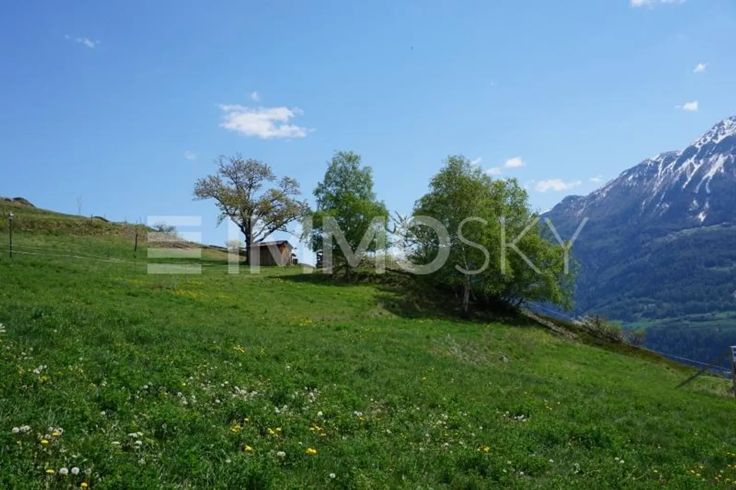 Luxushaus mit Aussicht - Foto 4 von 5