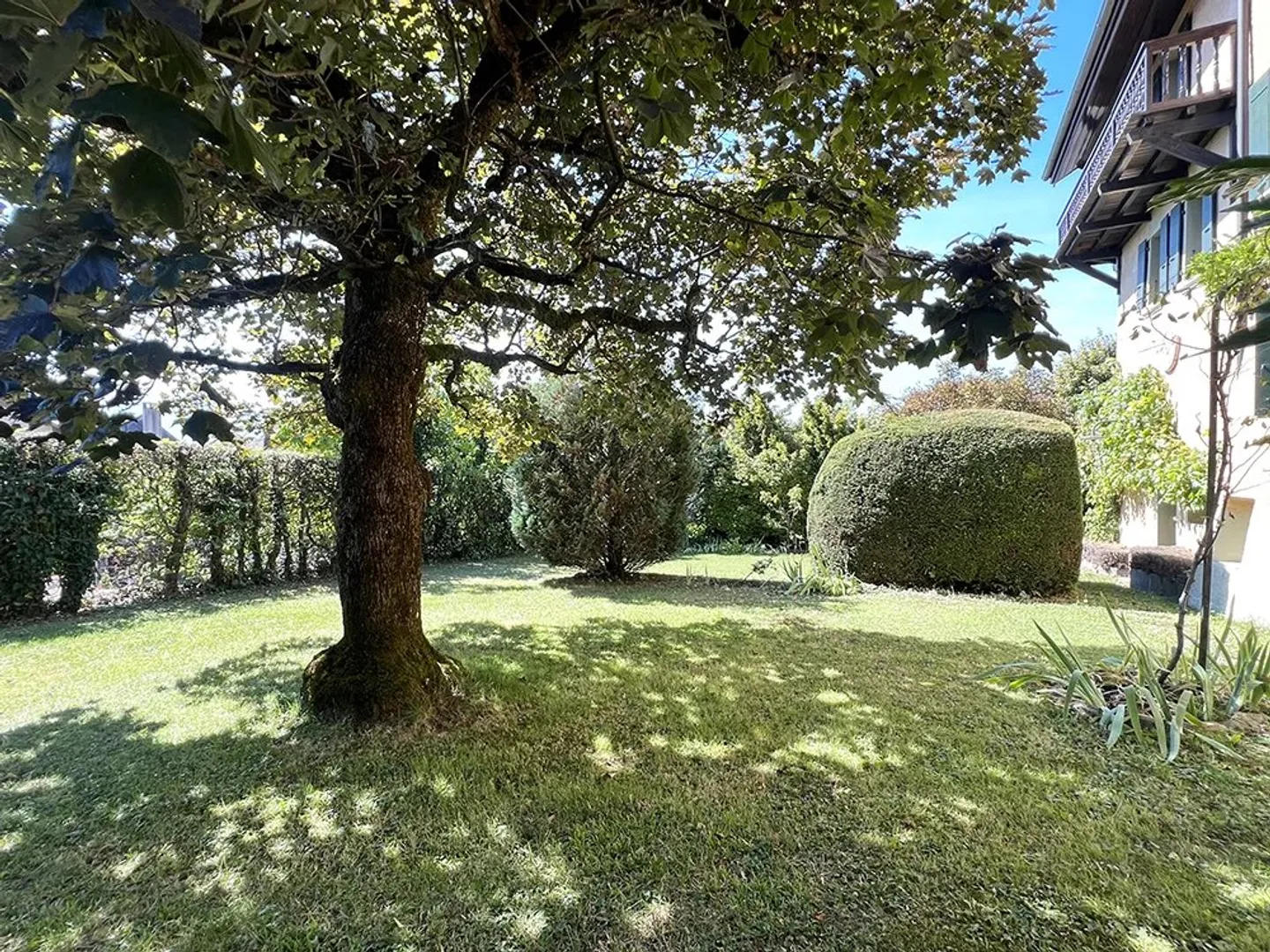 Propriété magnifique avec 12 pièces - Photo 6 sur 13